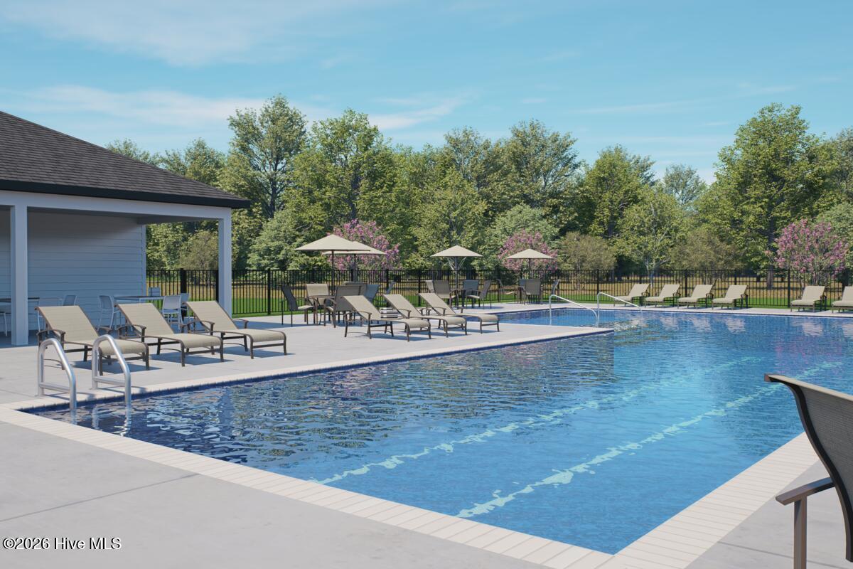 100565452 | Photo 12