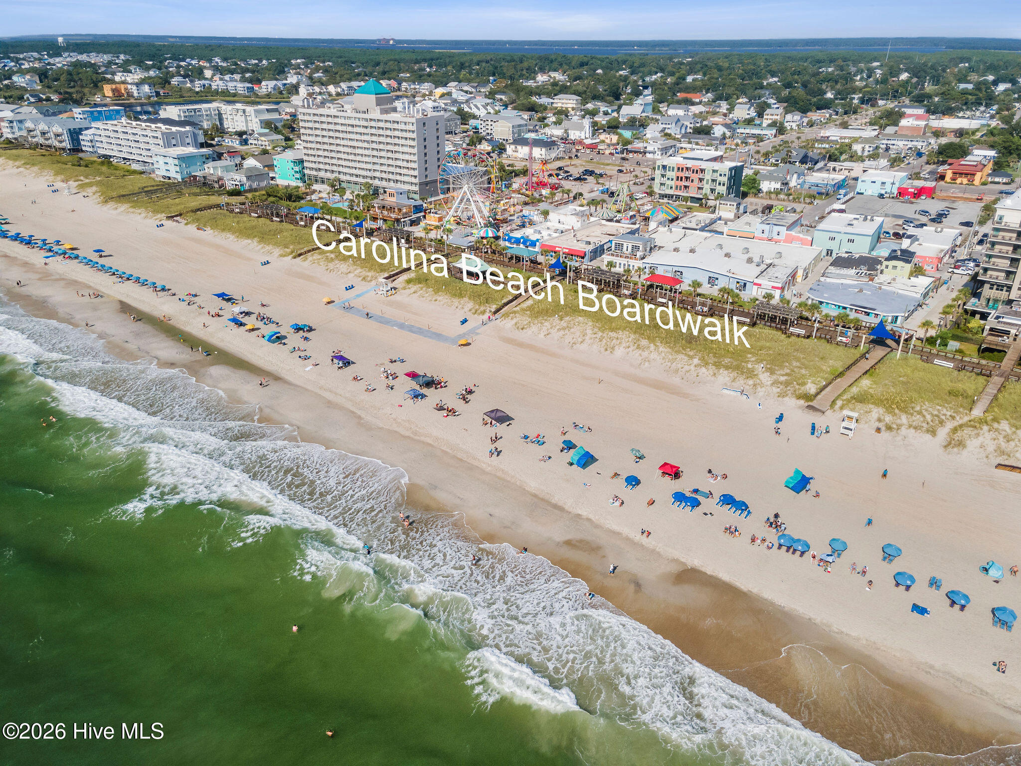 100562834 | Photo 54