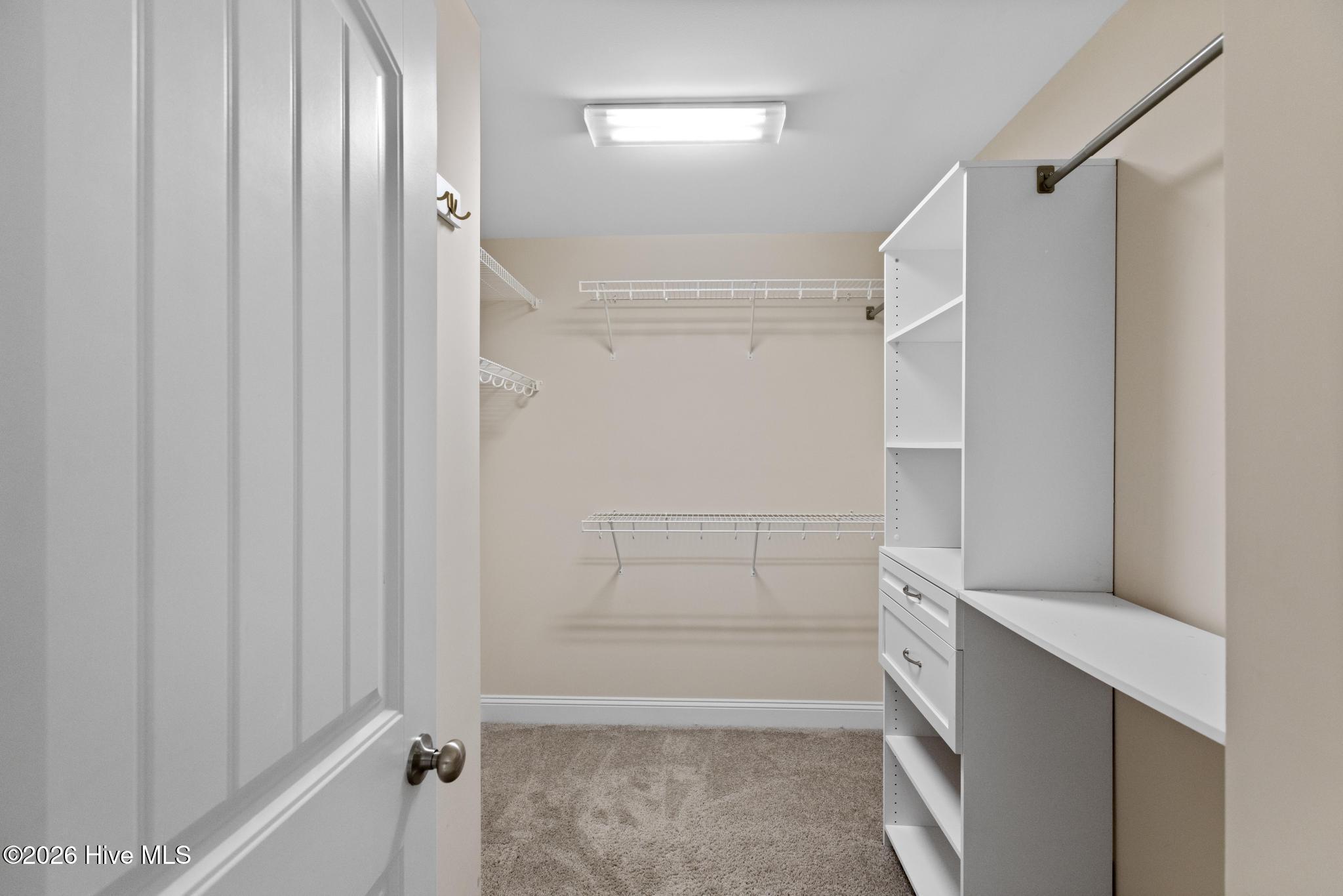 100560656 | Photo 18