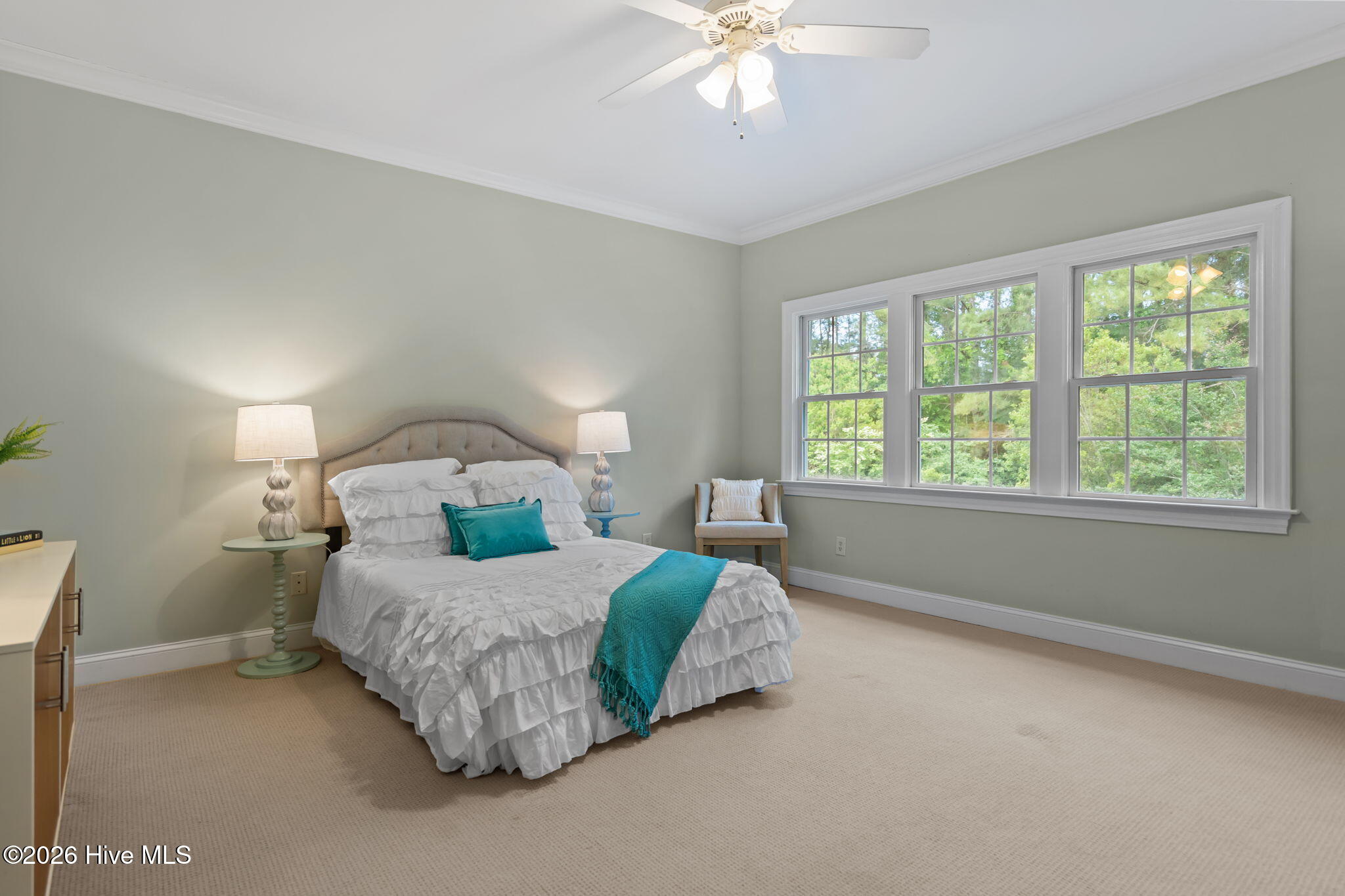 100563251 | Photo 20