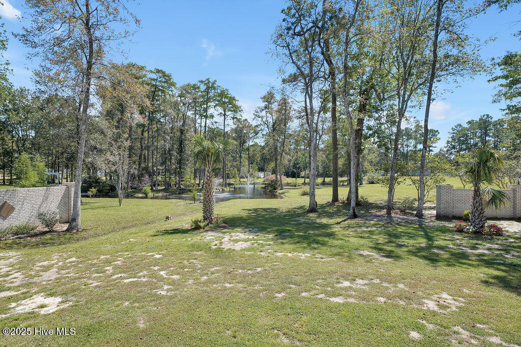 100529552 | Photo 54