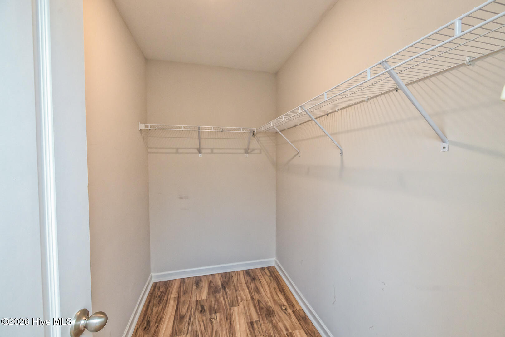 100558342 | Photo 30