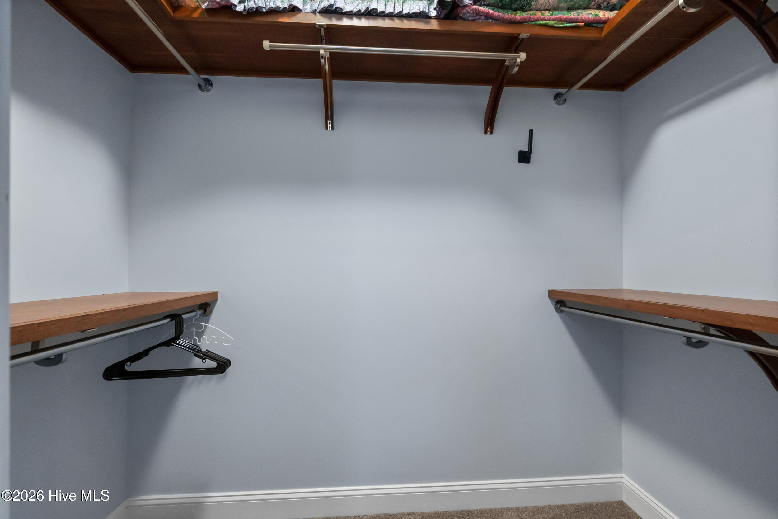 100566575 | Photo 23