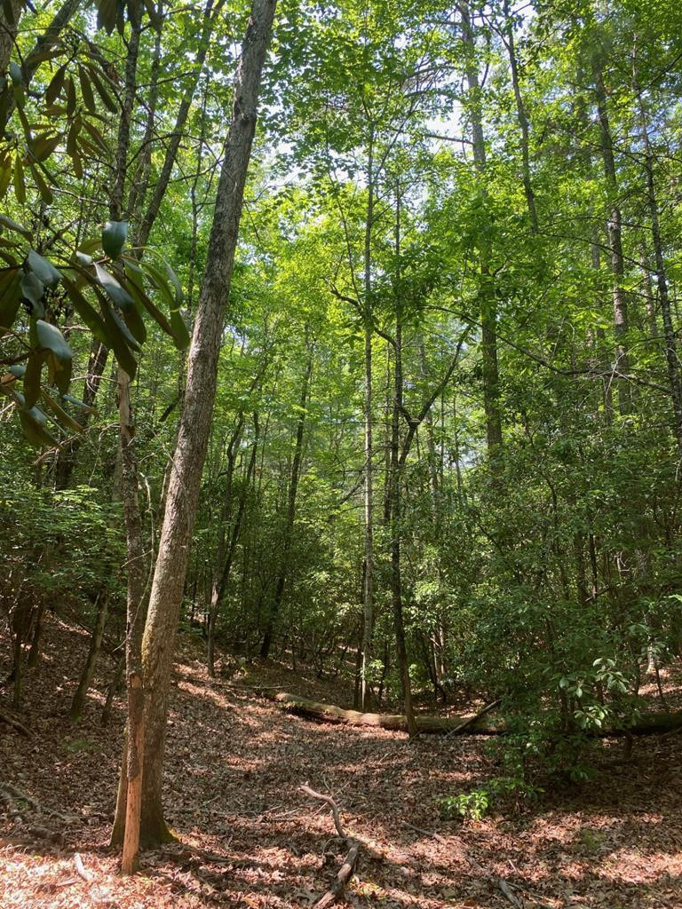 Exterior photo of Lot 34 34 Point Overlook Trail, Murphy, NC 28906. MLS: 98543680