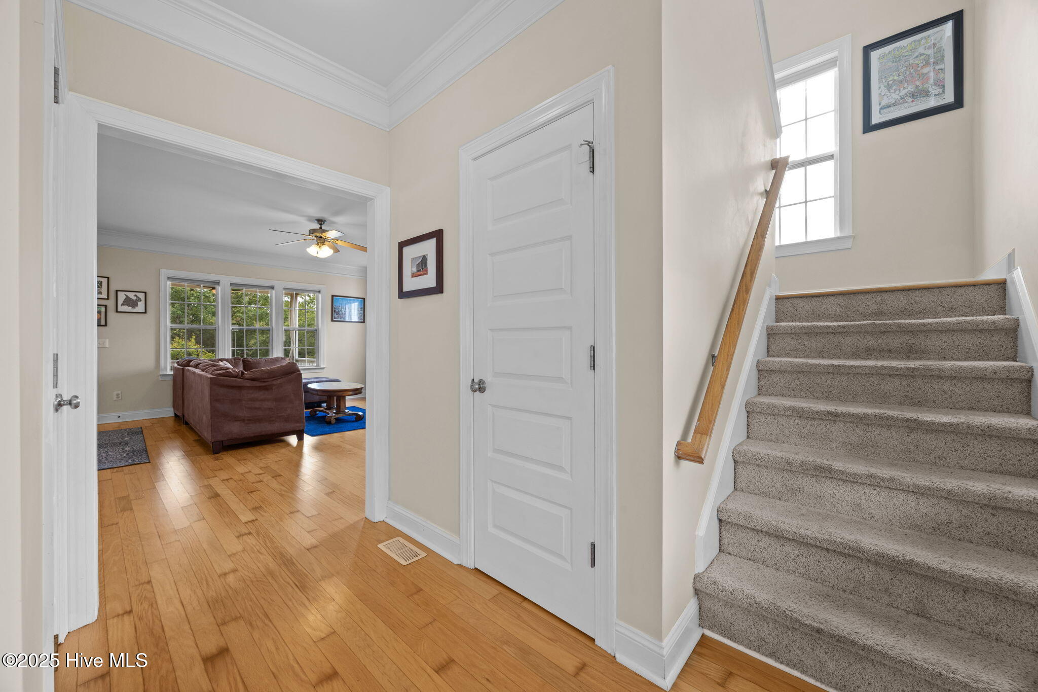 100530646 | Photo 32