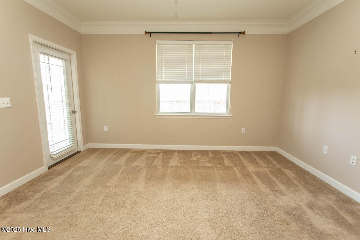 100564838 | Photo 13