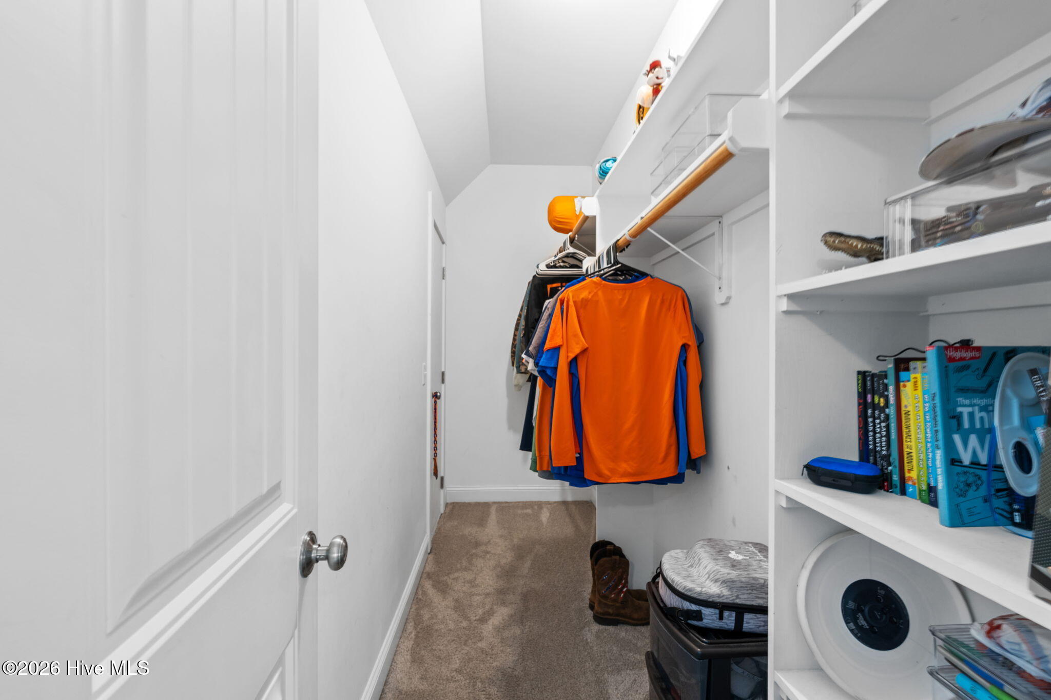 100568987 | Photo 32