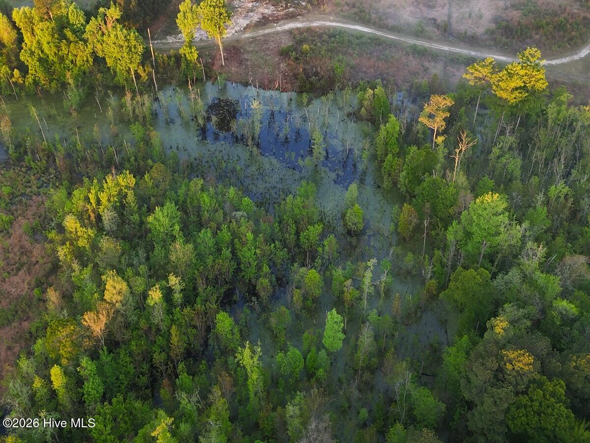 0 Durwood Evans Road, Beulaville, NC, 28518