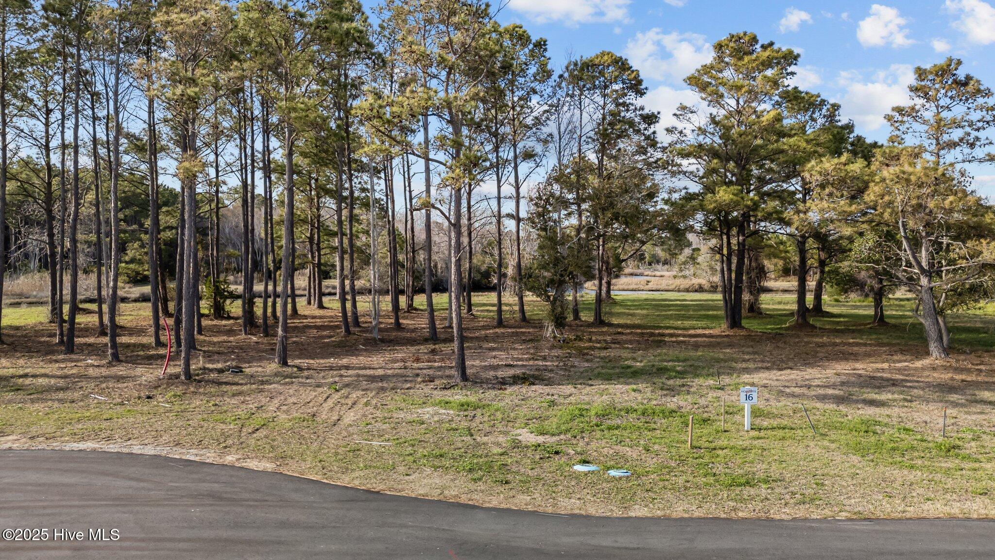 100560021 | Photo 10