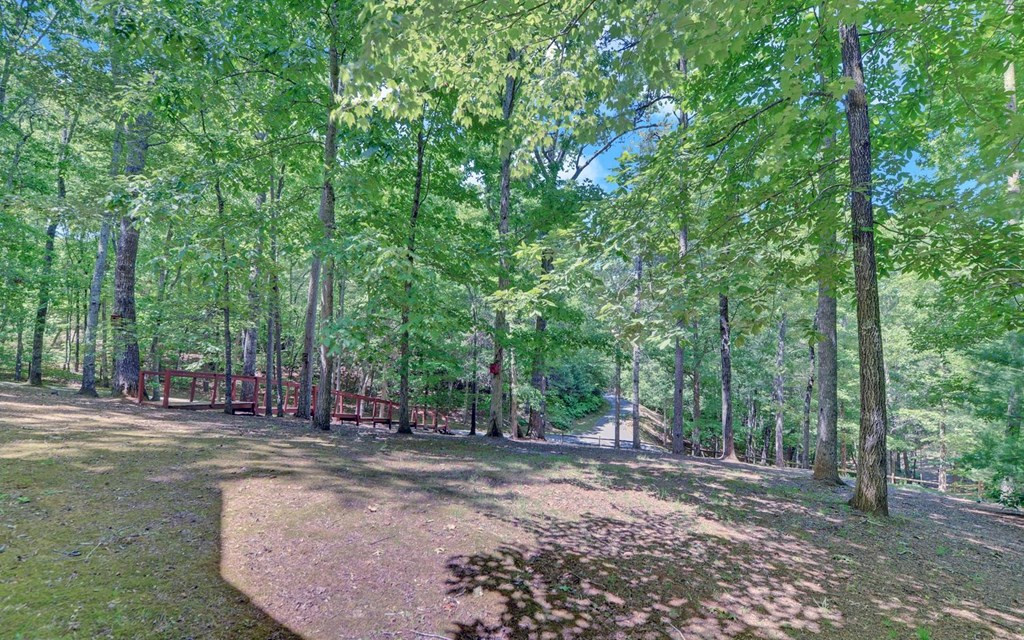 164 Dew Drop Lane, Murphy, NC 28906 Listing Photo  38