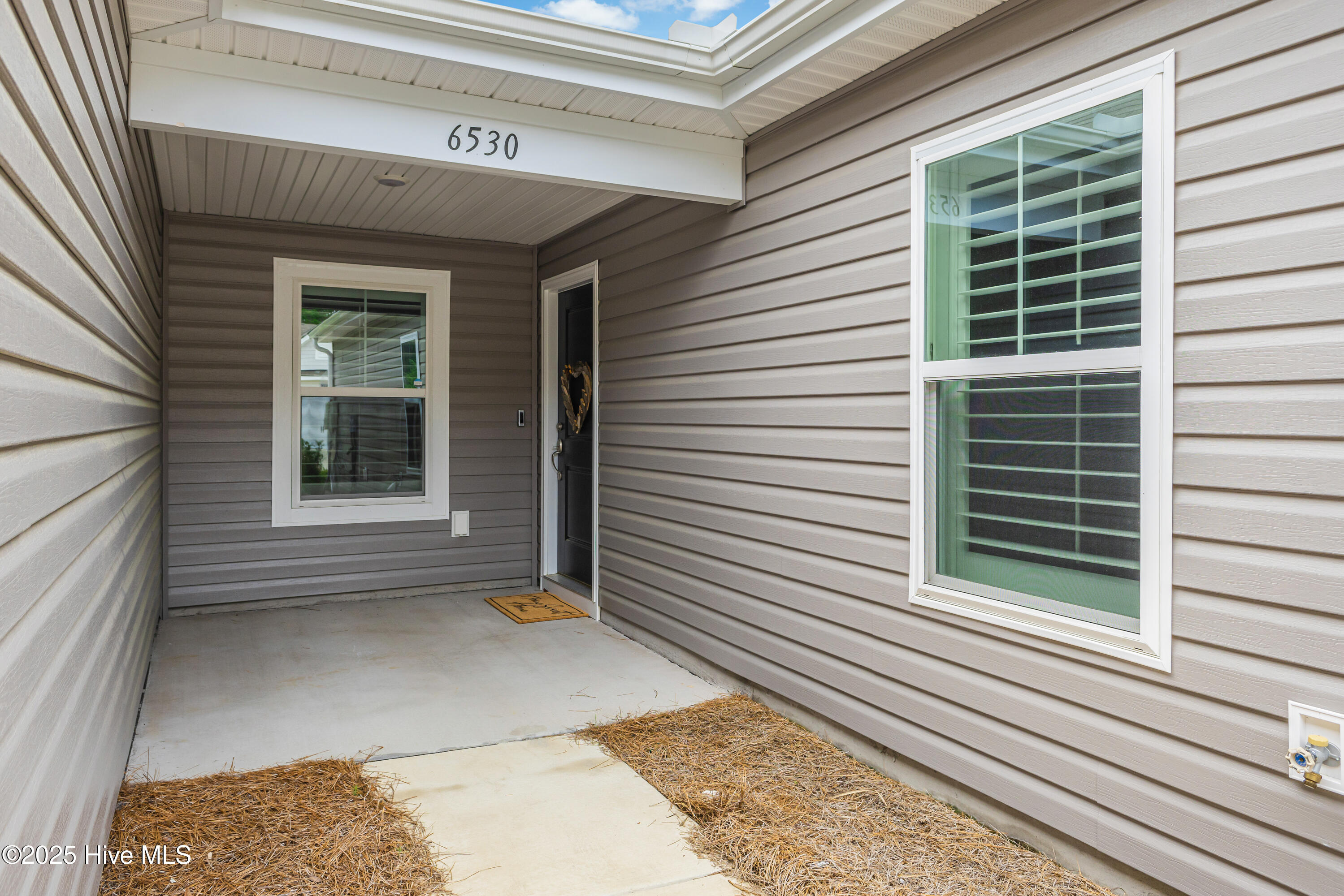 6530 Green Fennel-3-2