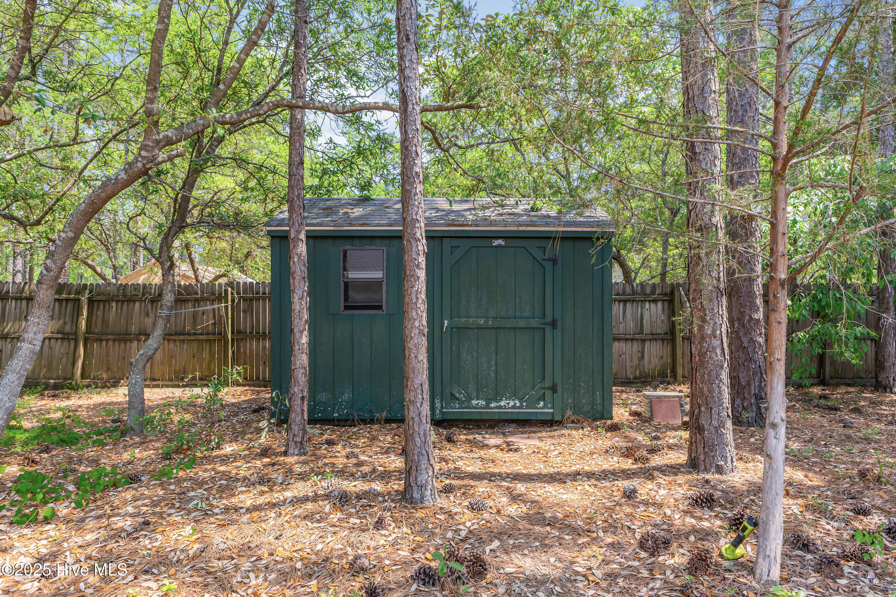 100505553 | Photo 35