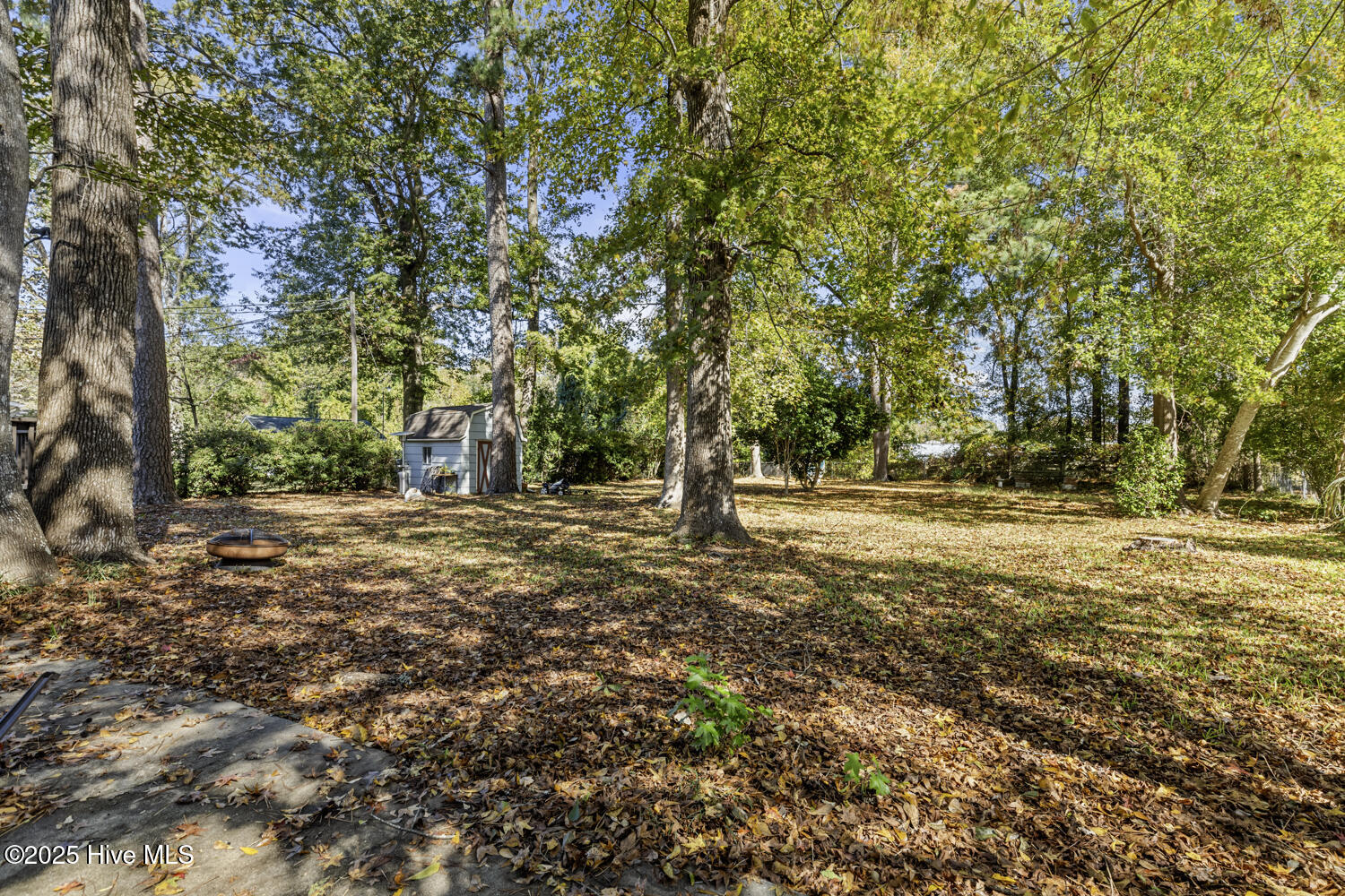 100539145 | Photo 44