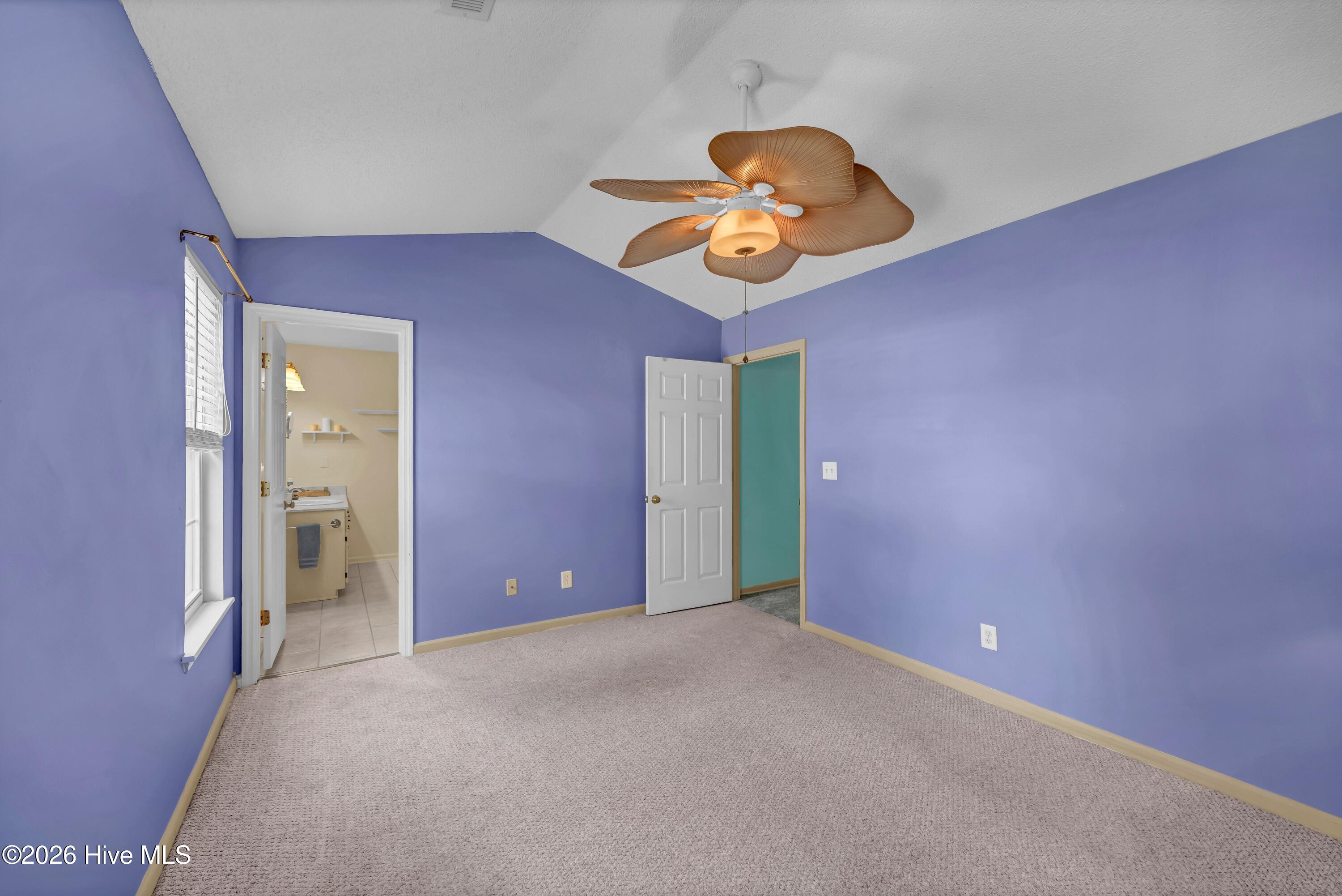 100554189 | Photo 12