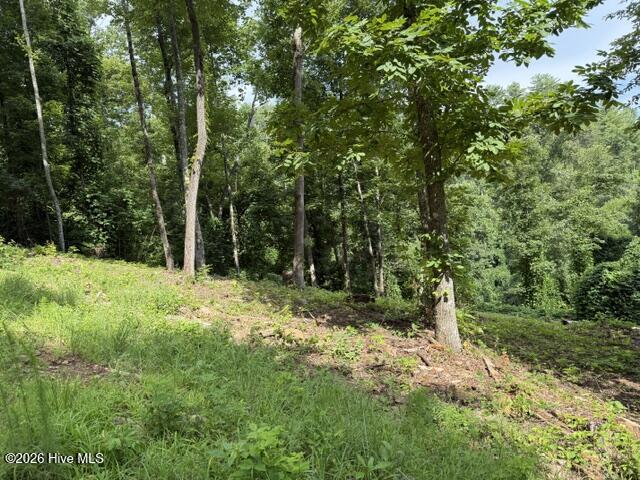 Exterior photo of Lot 25 25 Bryson Creek Drive, Murphy, NC 28906. MLS: 100589582
