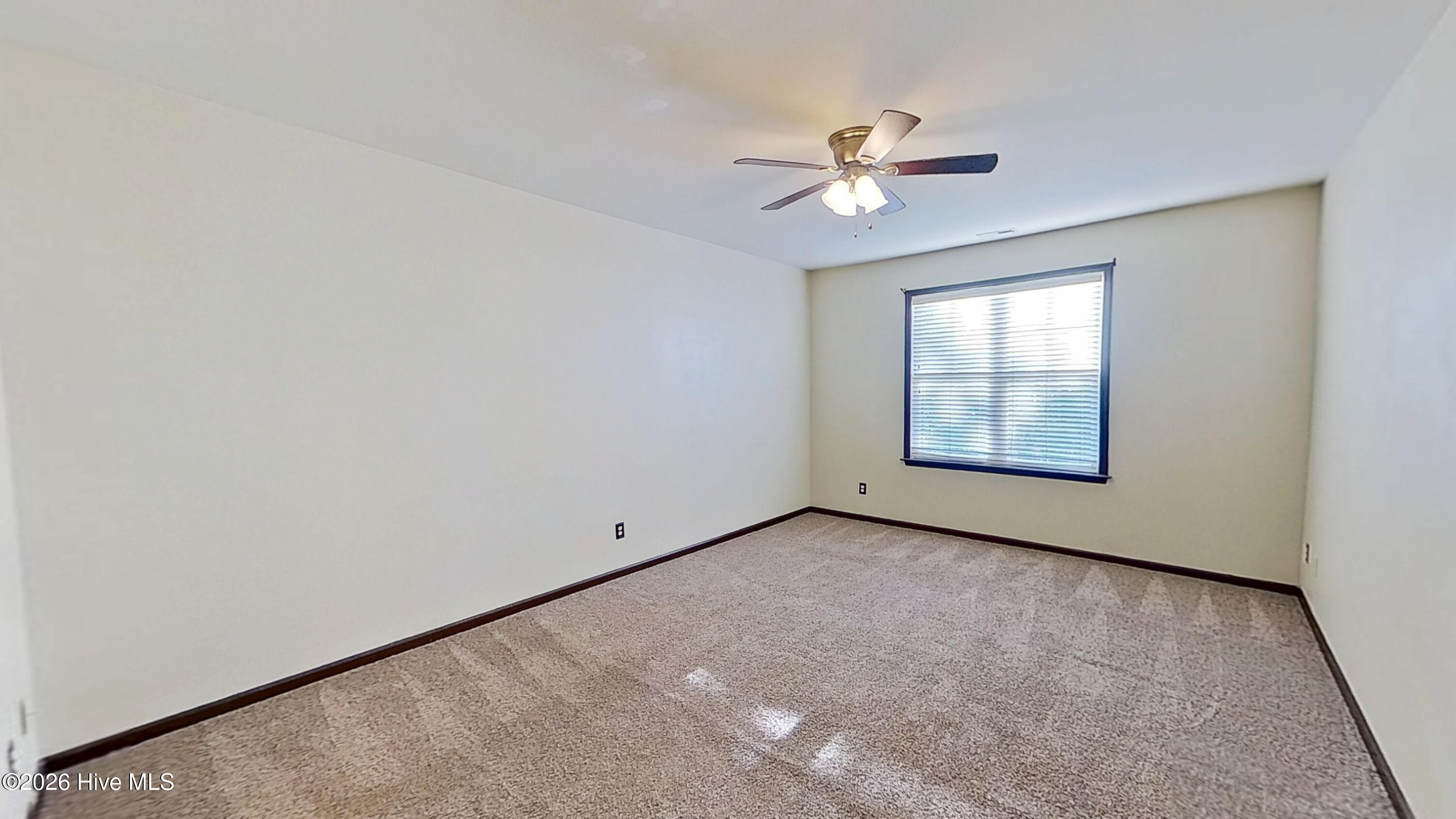 100554824 | Photo 11