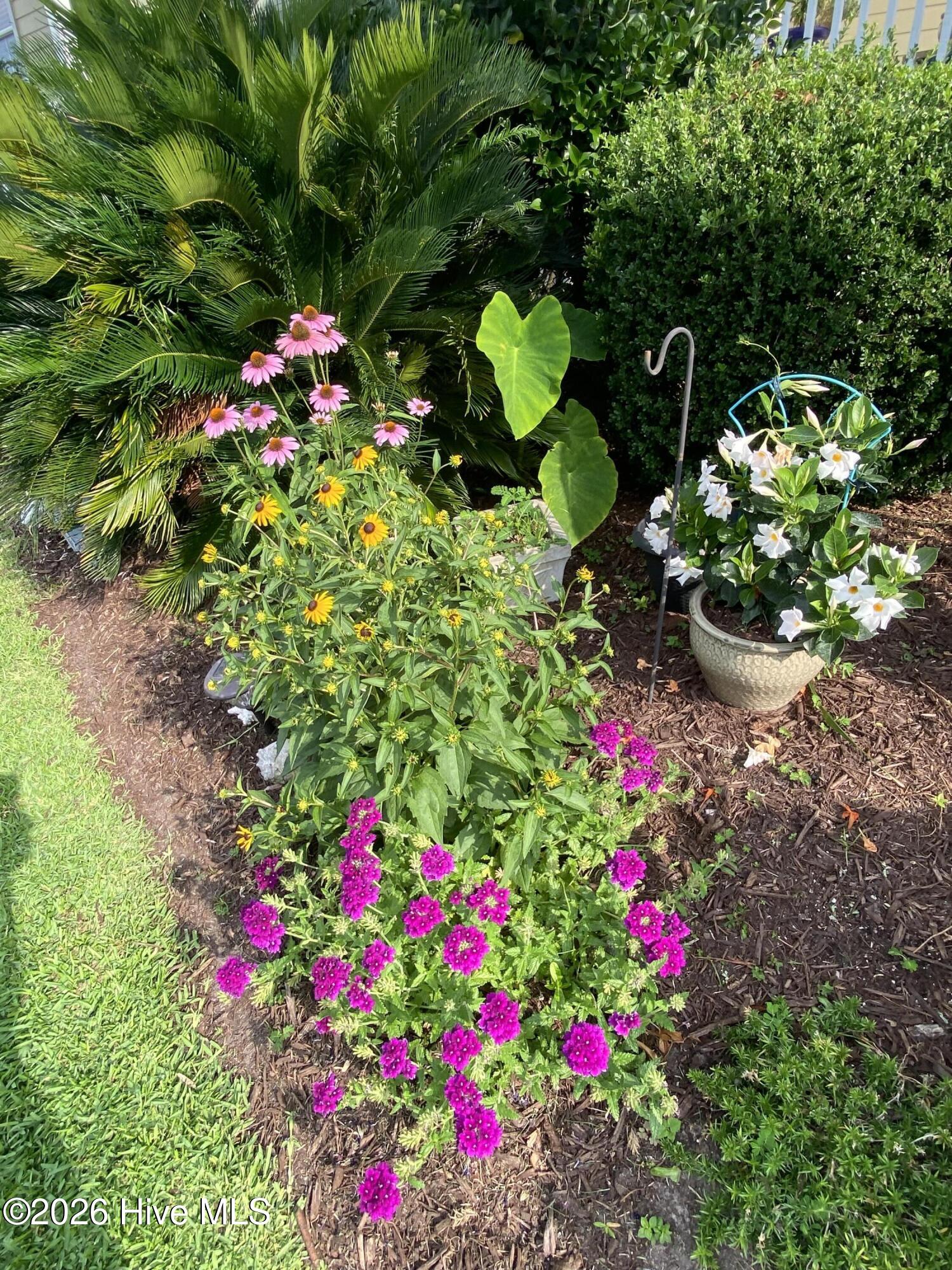 100566158 | Photo 64