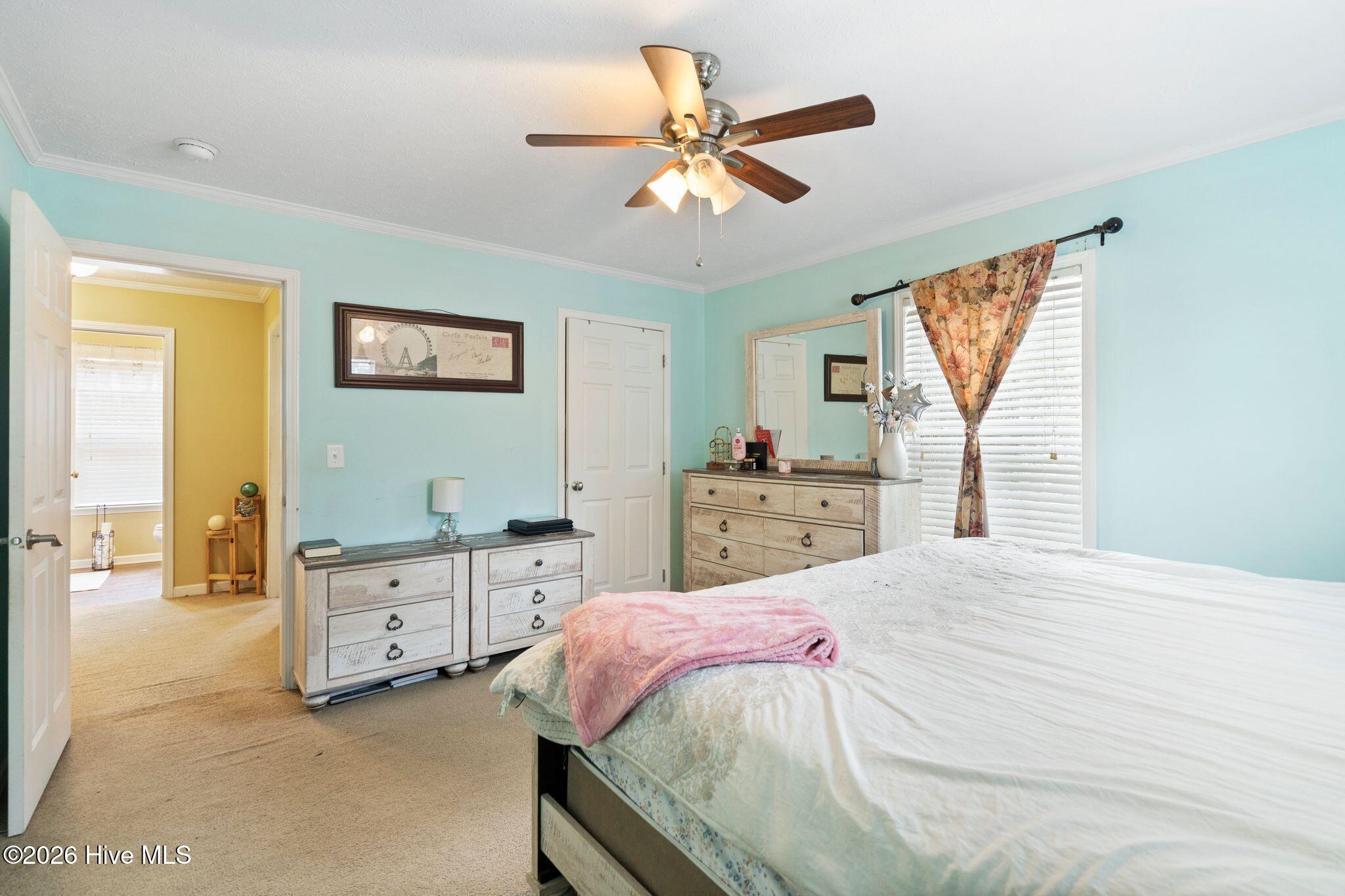 100558385 | Photo 32