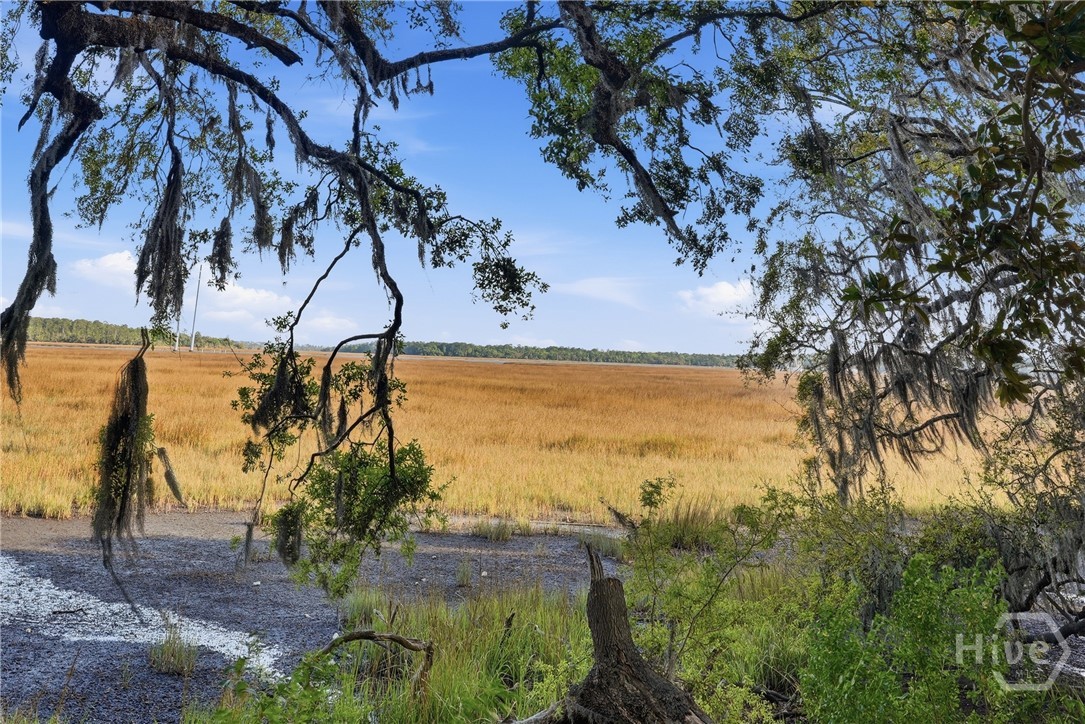 22 Longview Bluff Drive E, Savannah, GA, 31419