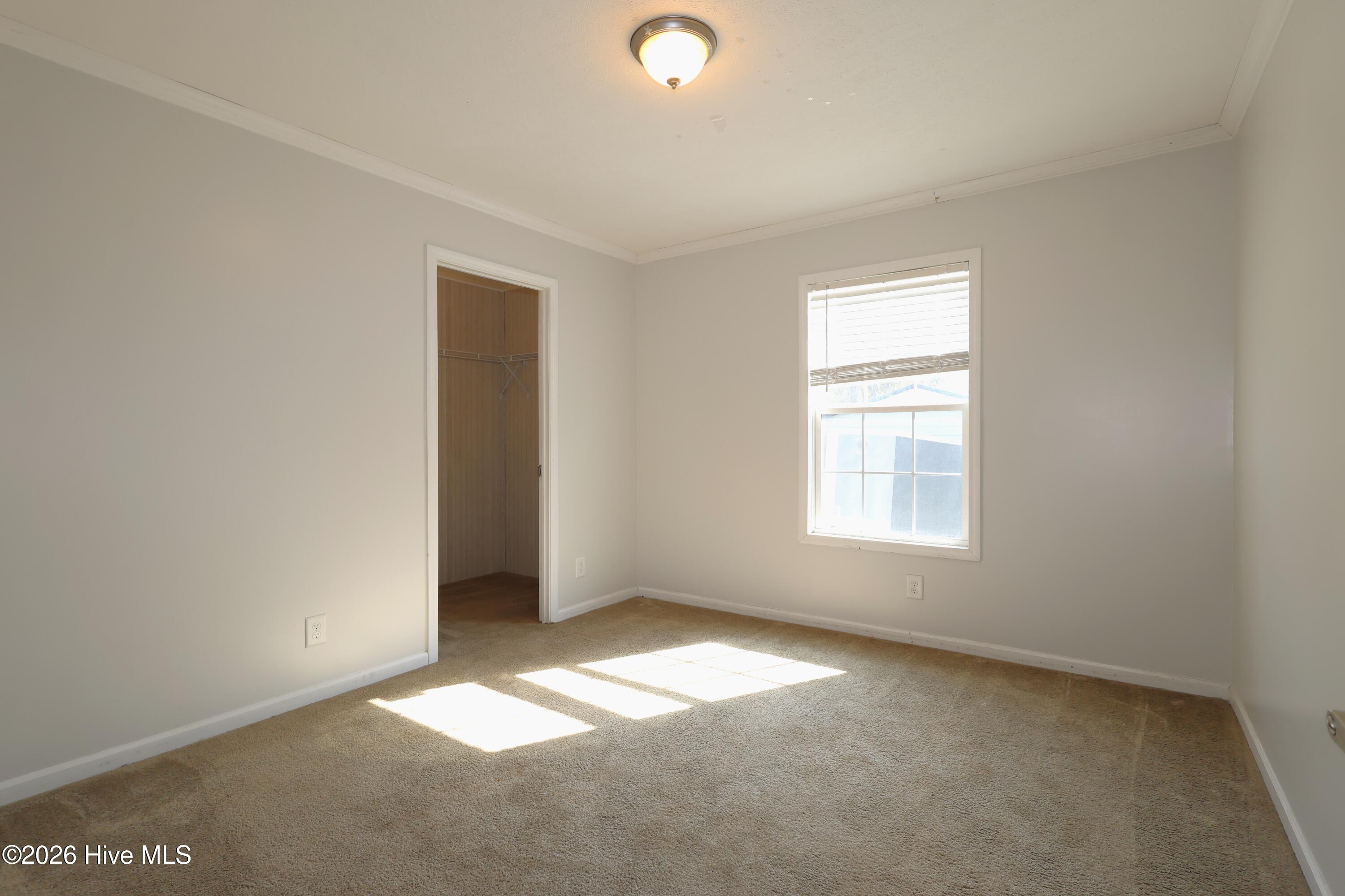 100564775 | Photo 10