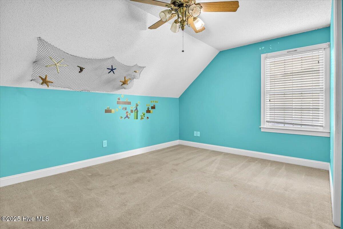 100536195 | Photo 43