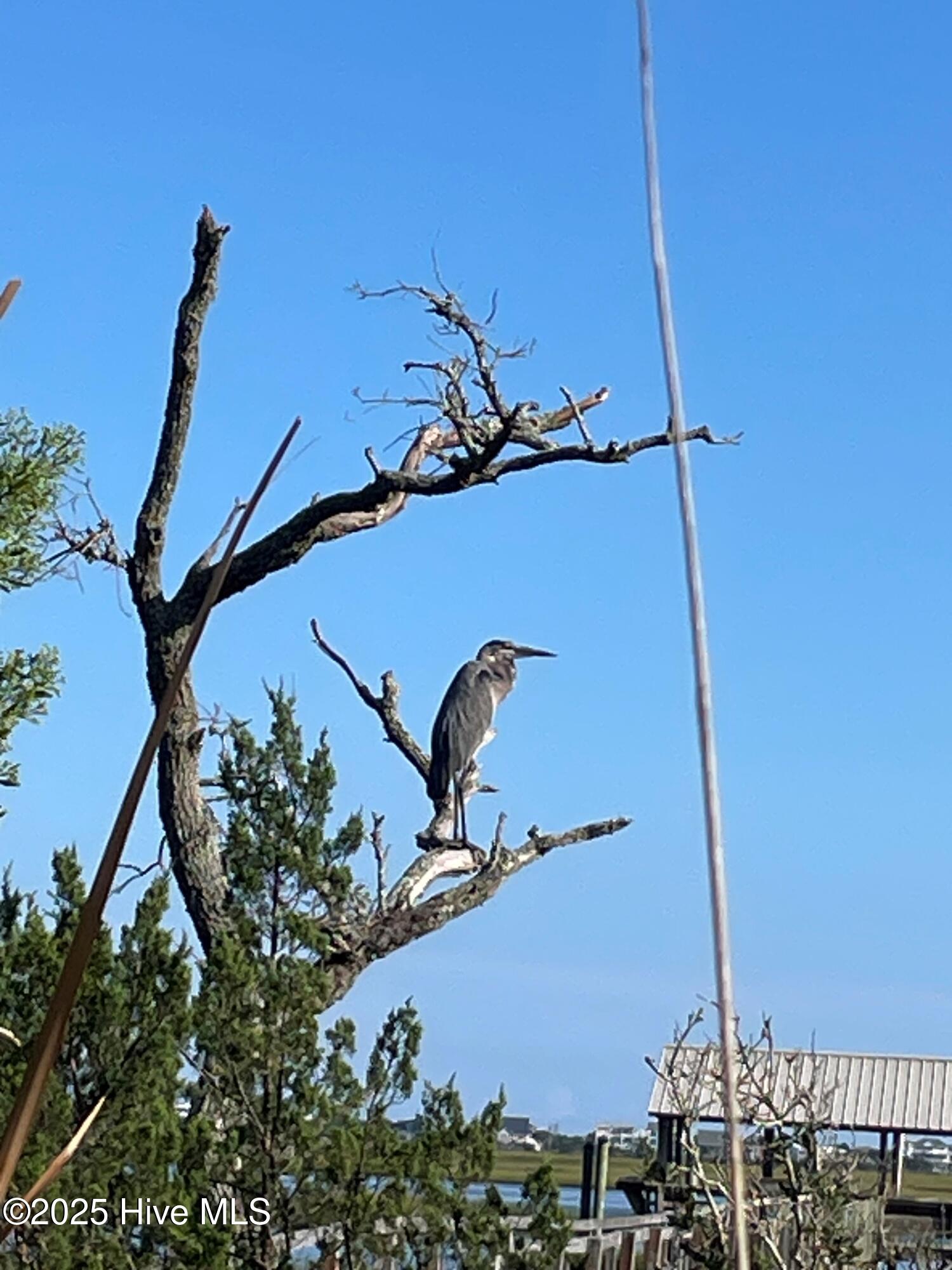 100487691 | Photo 44