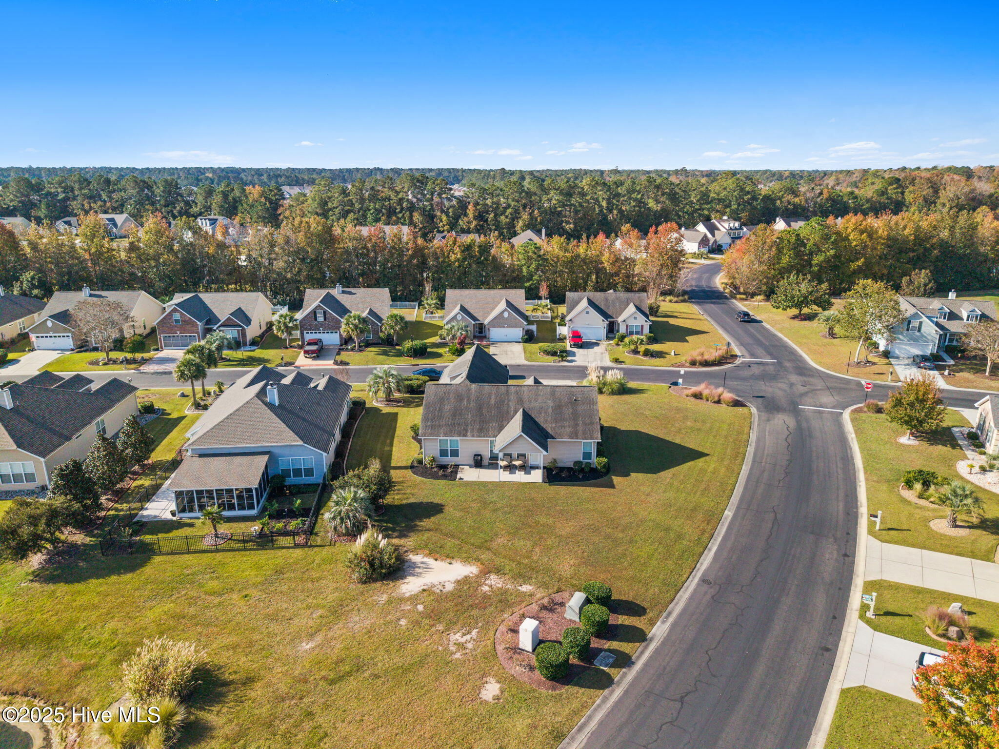 100540486 | Photo 44