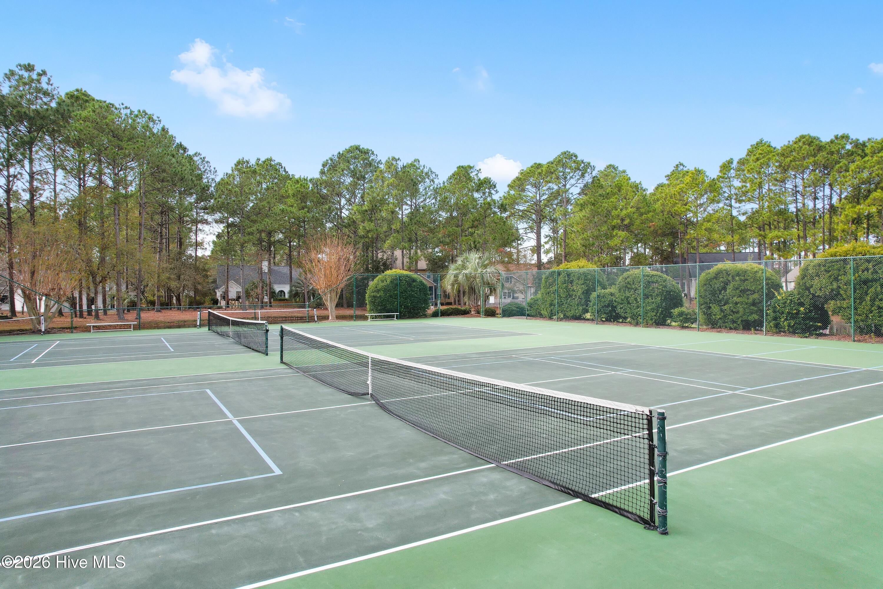 100559952 | Photo 64