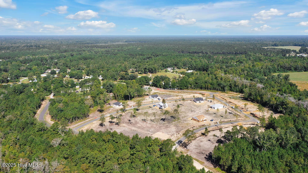 Homes for sale in Burgaw, NC | 312 Riva Rdg, Burgaw, NC 28425 | MLS# 100533386