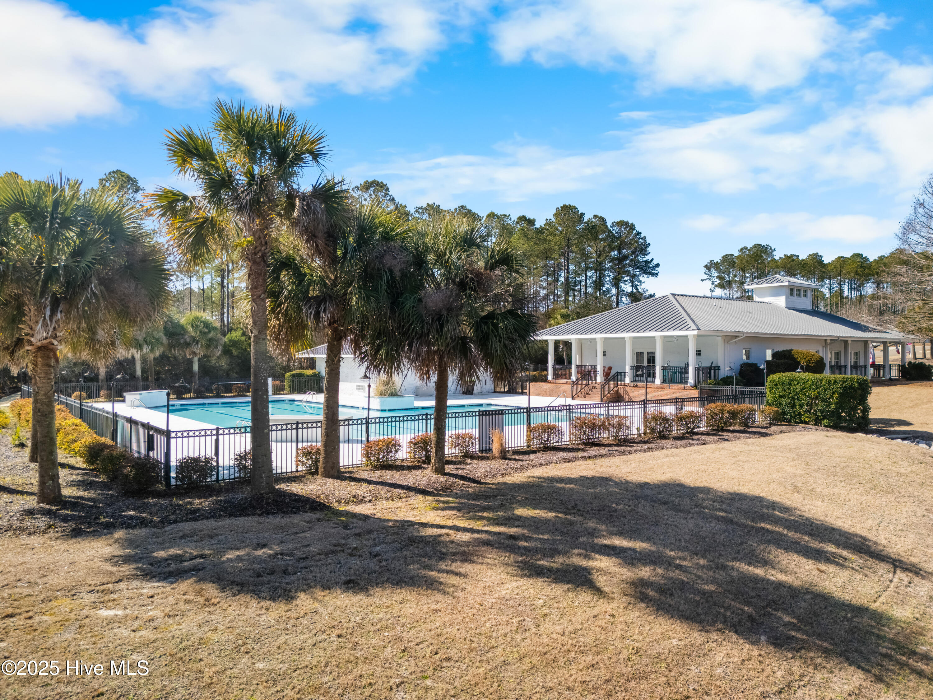 100487314 | Photo 14