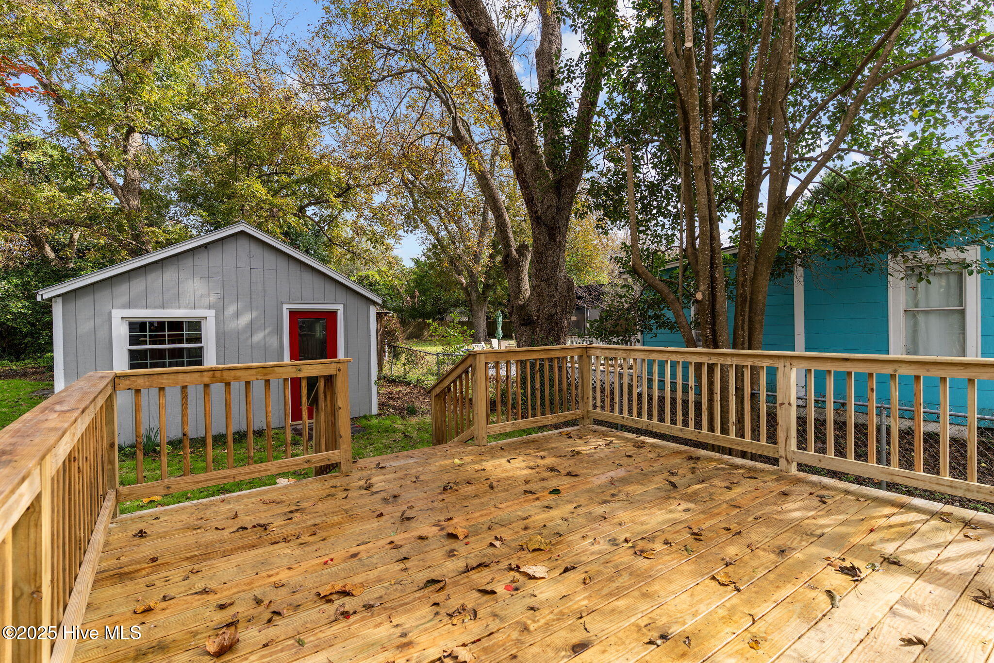 100542259 | Photo 40