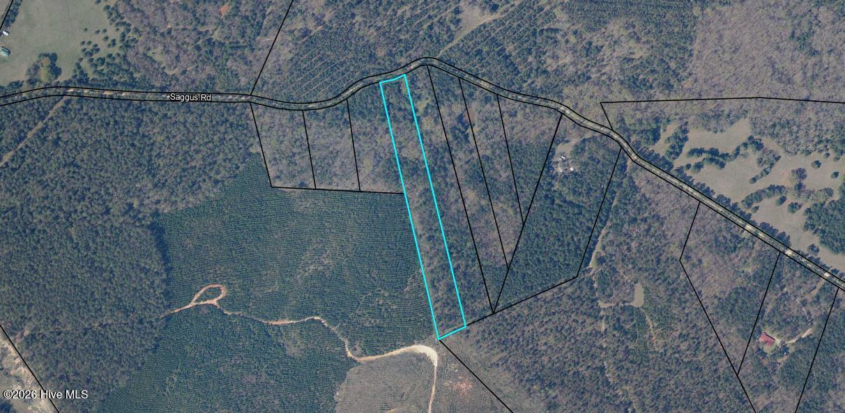 Homes for sale in Washington, GA | Lot 4 Saggus Rd, Washington, GA 30673 | MLS# 100573053