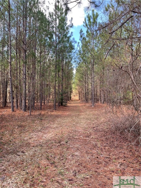 0 FISH Road, Newington, GA, 30446