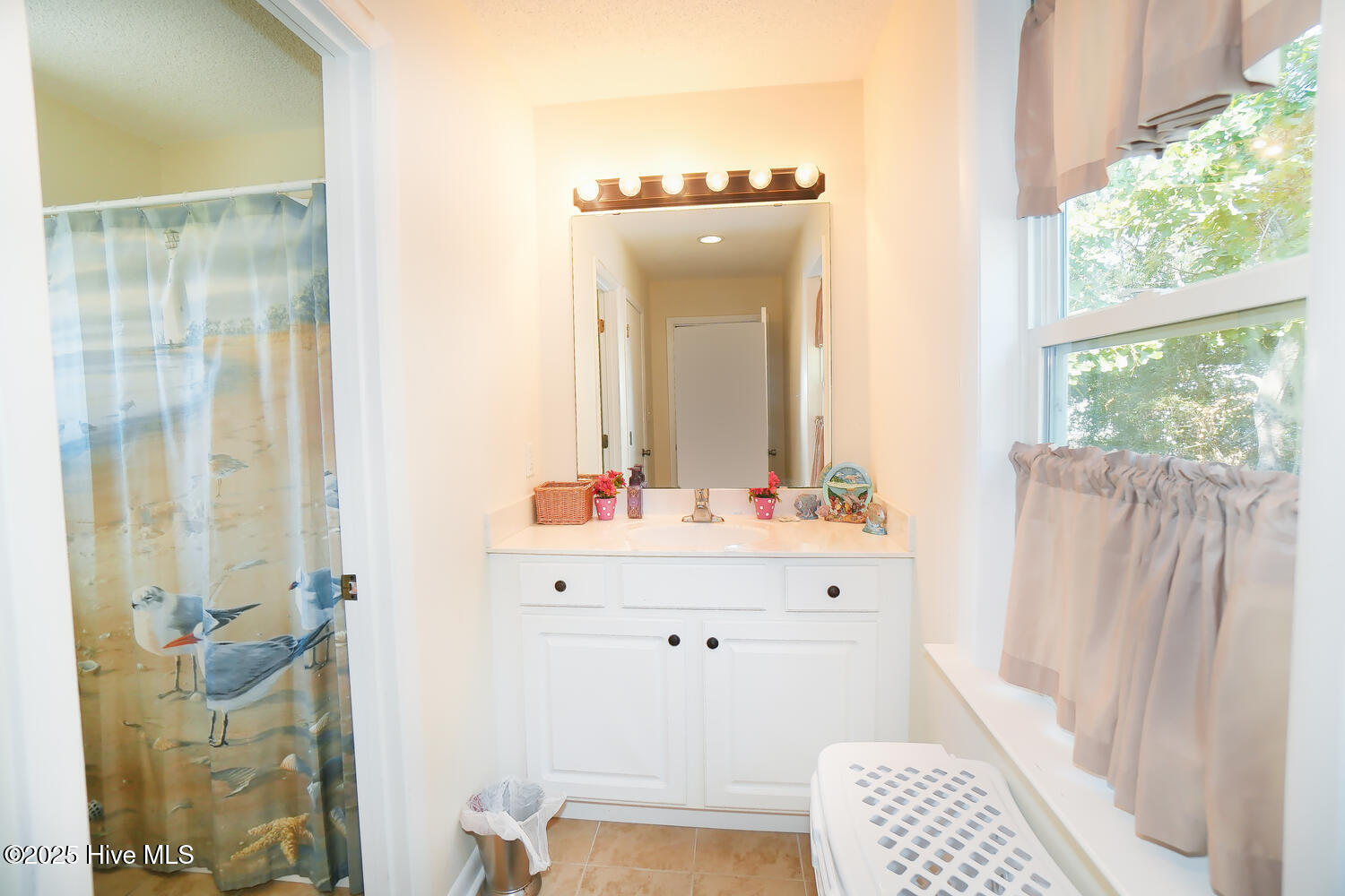 100528234 | Photo 15