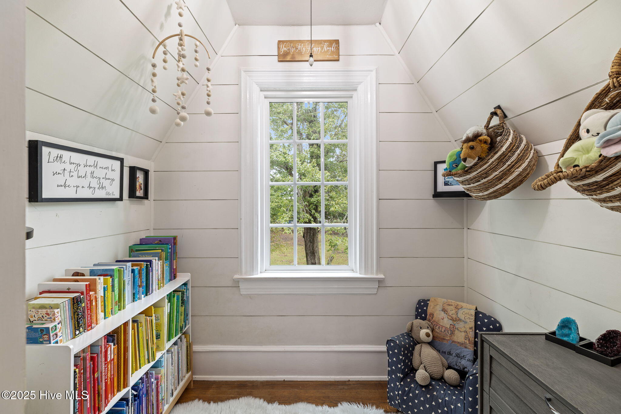 100533679 | Photo 51