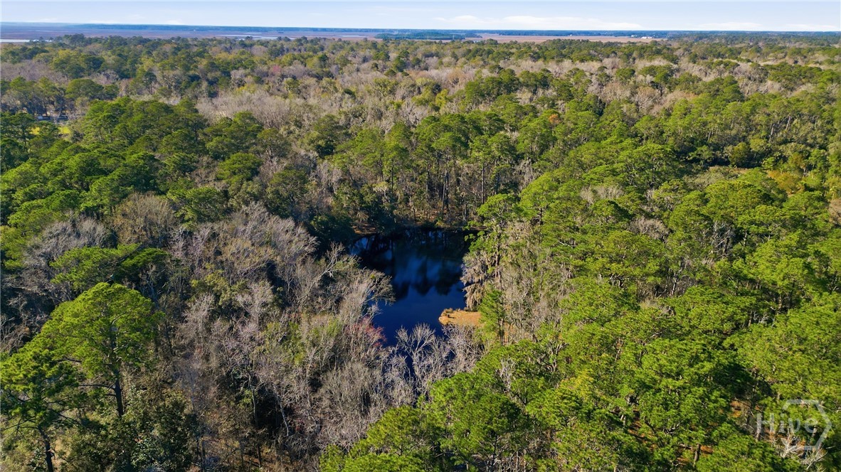 501 Wau Bun Drive, Savannah, GA, 31419