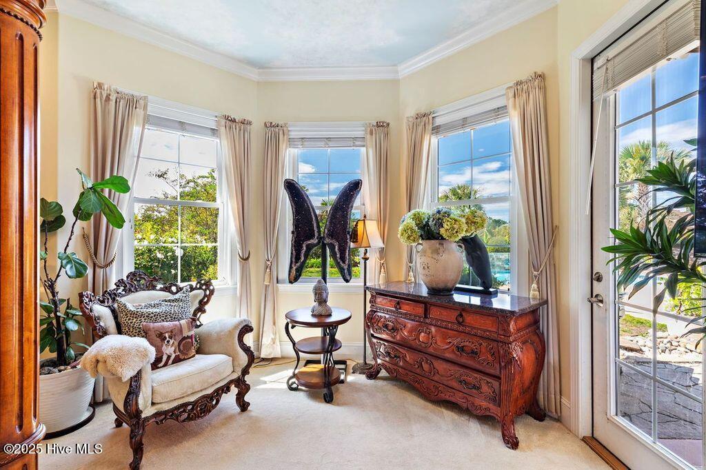 100534476 | Photo 24