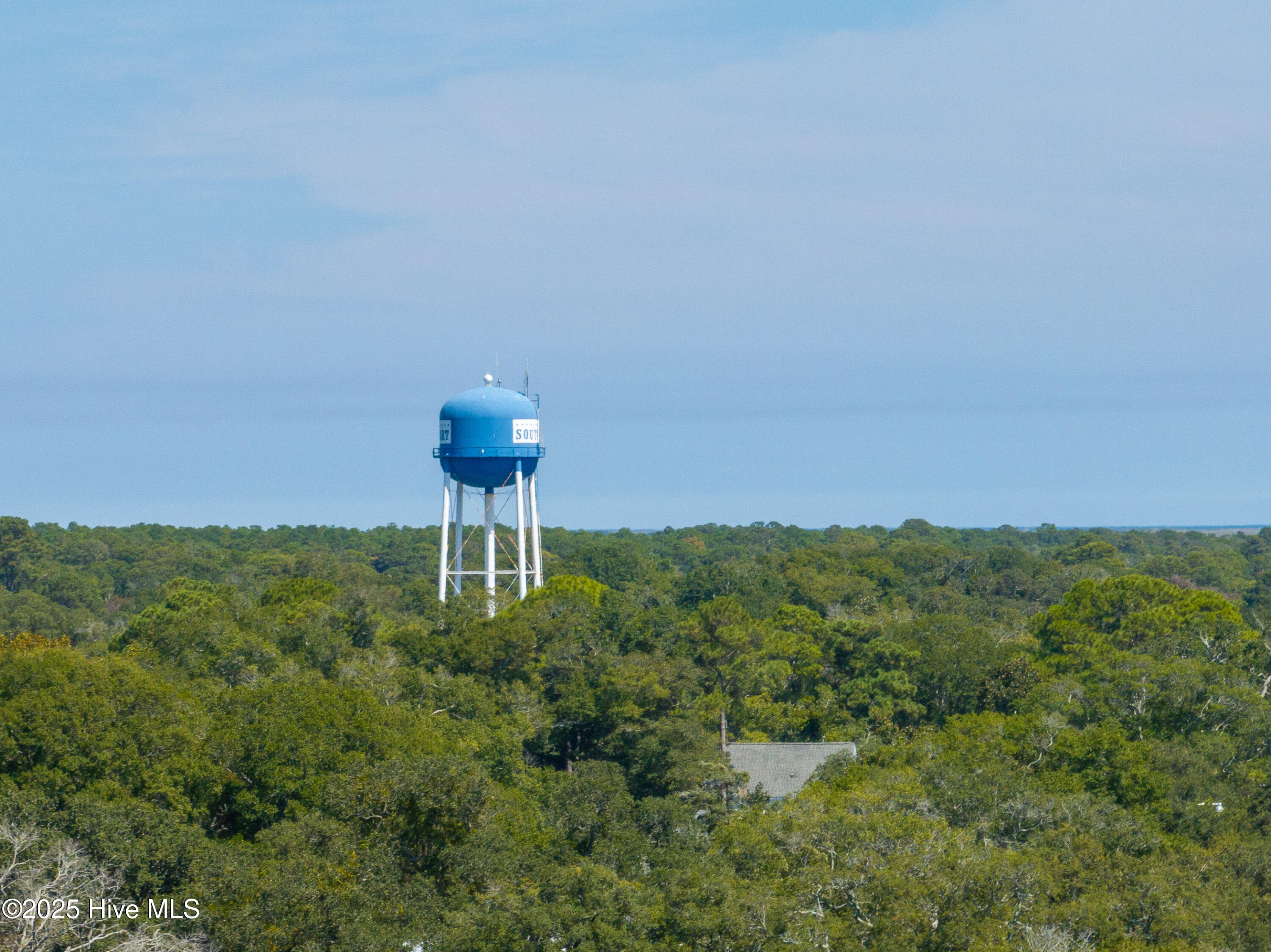 100559399 | Photo 45