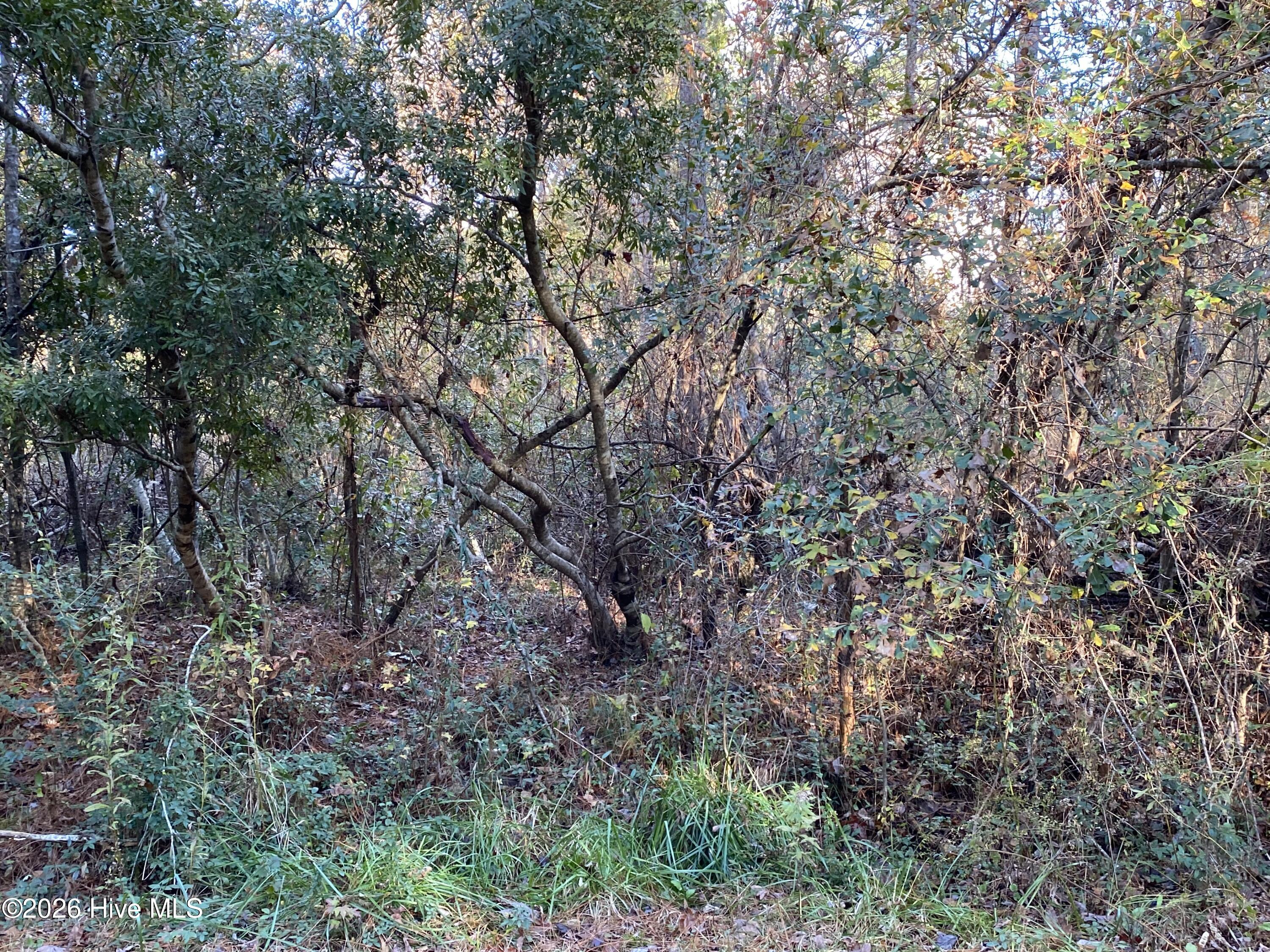 255 Wards Lane,Havelock