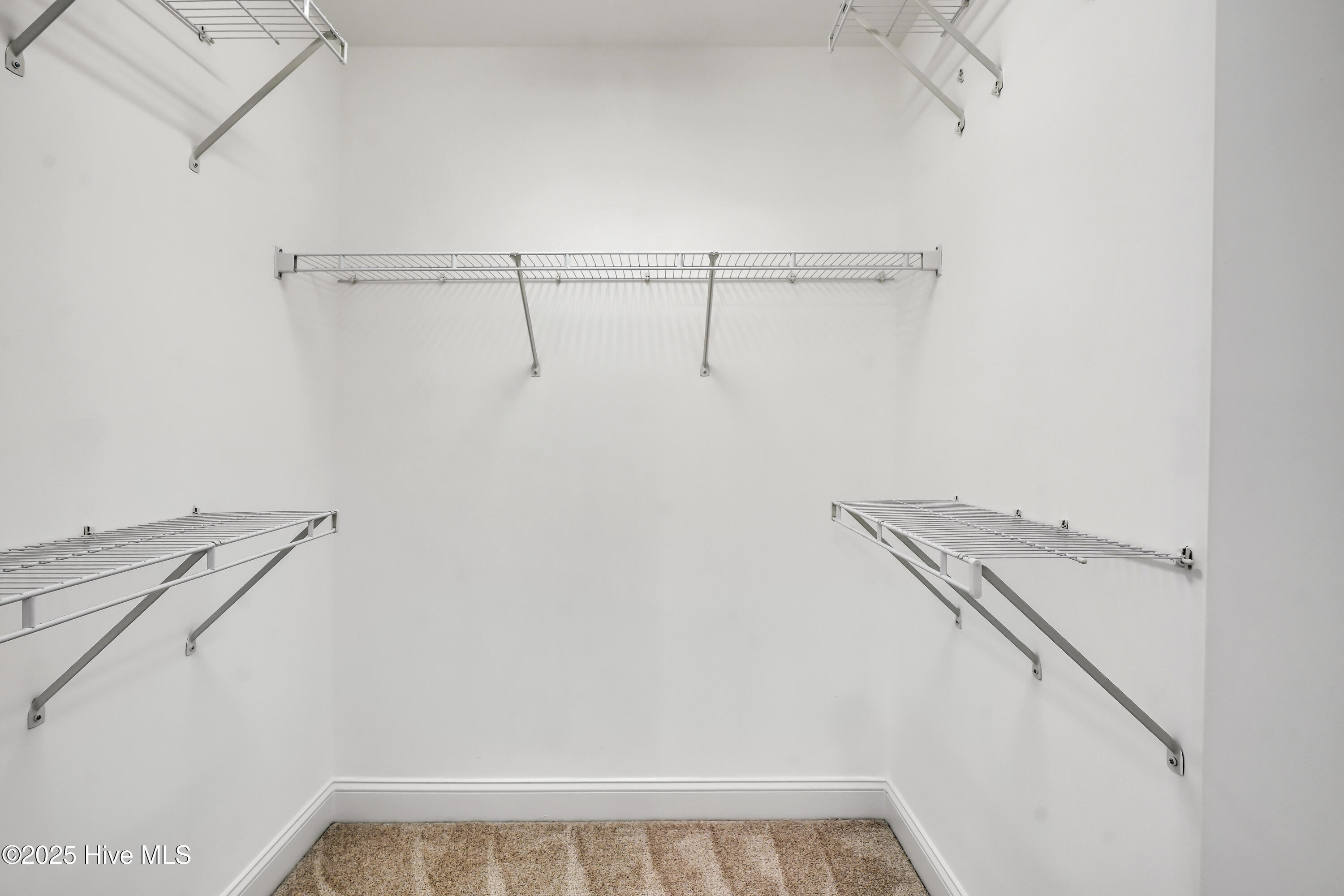 100531017 | Photo 27