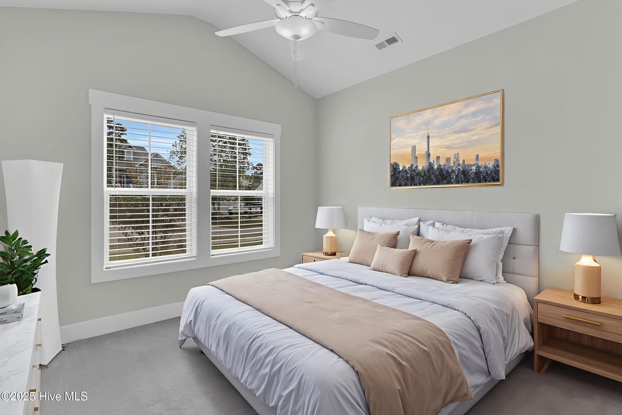 100535335 | Photo 24