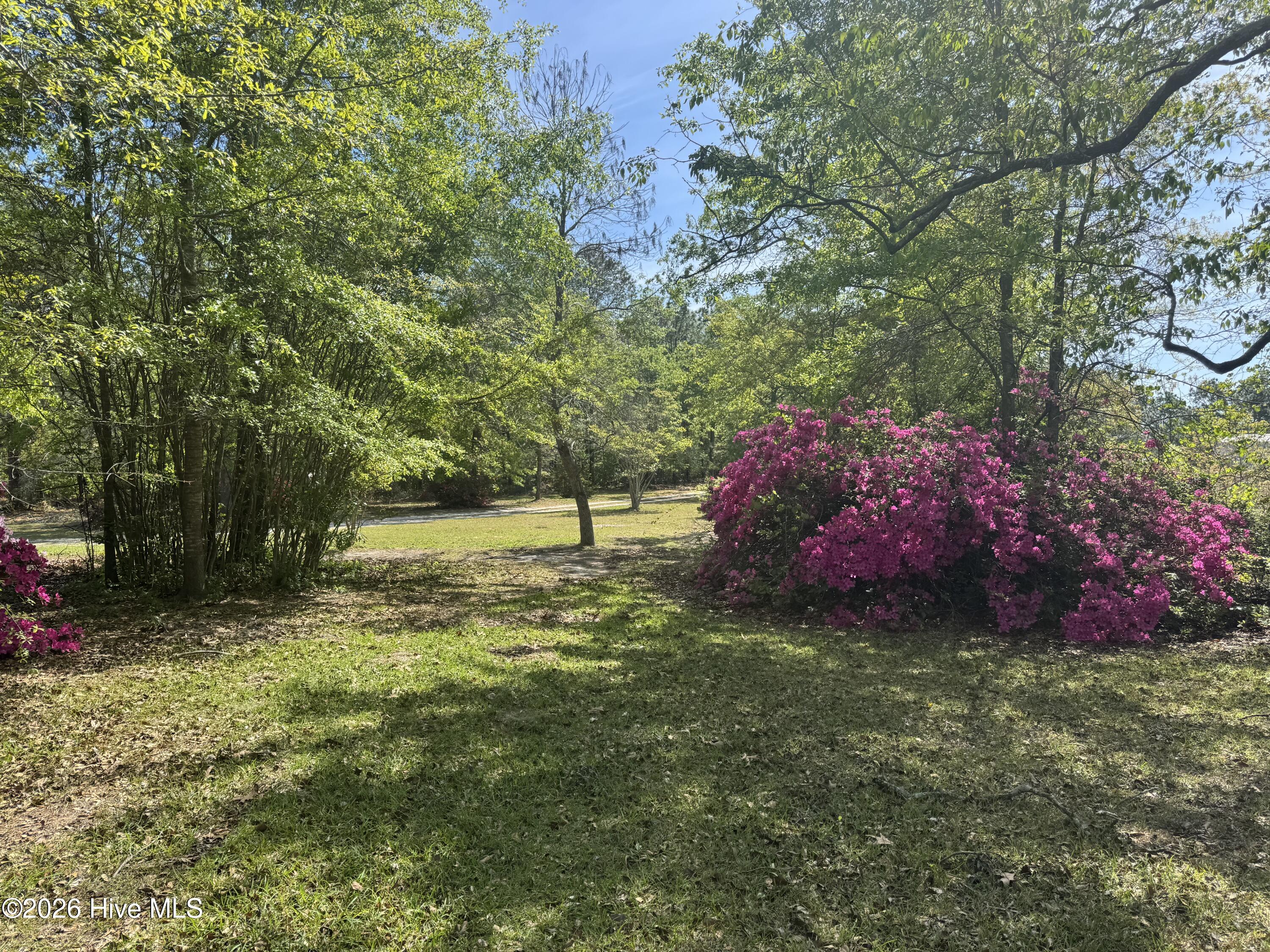 490 Springhill Church Road, Hamlet, NC, 28345