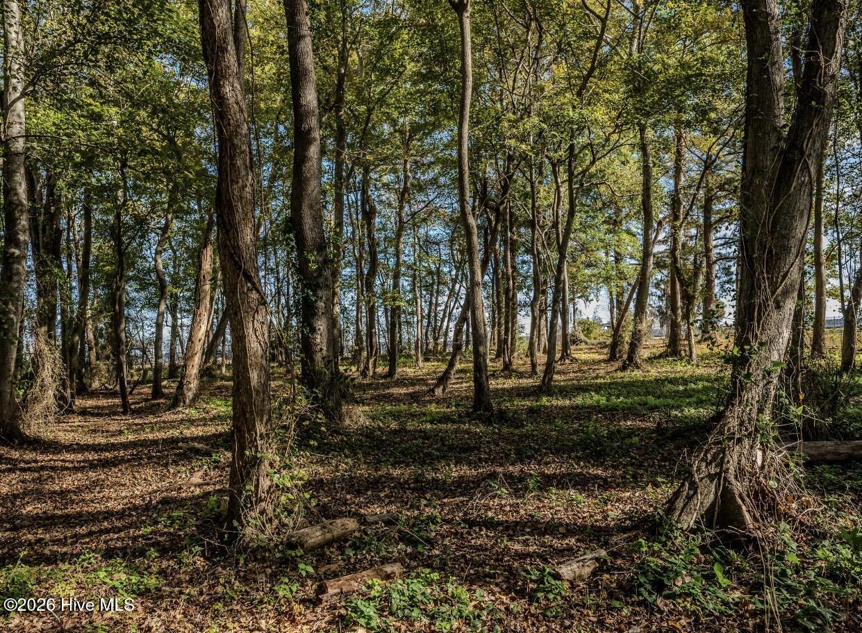 100560366 | Photo 15