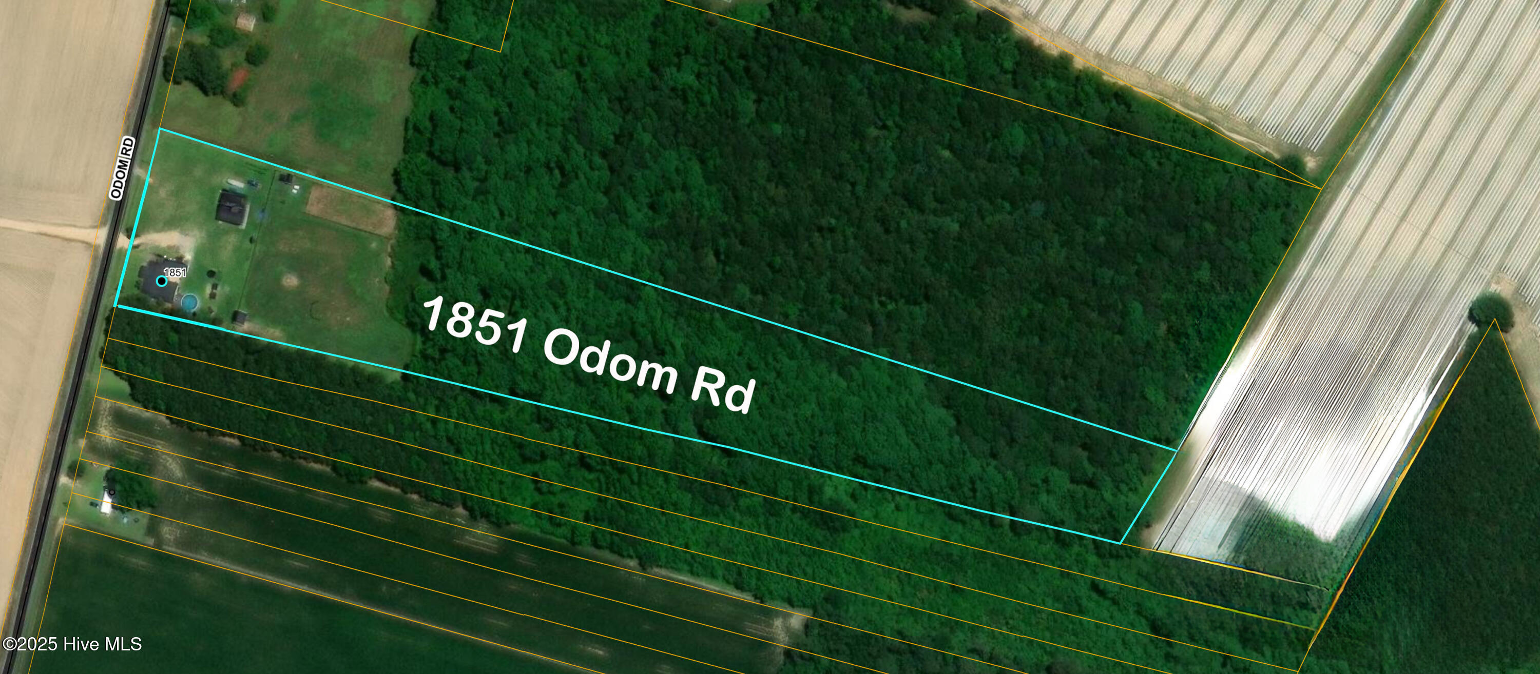 1851 Odom Rd 3