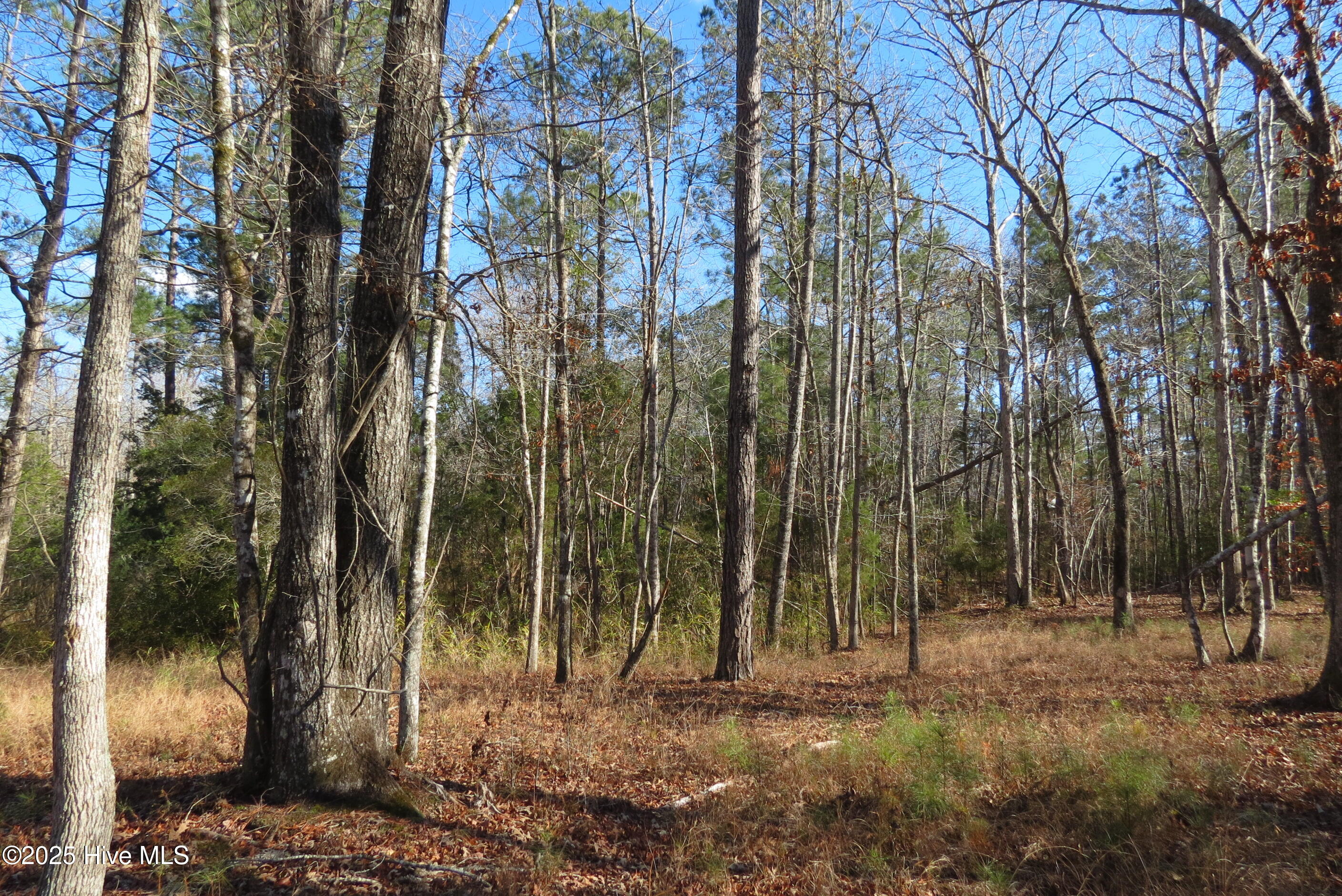 109 Winding Creek Drive, Oriental, NC, 28571