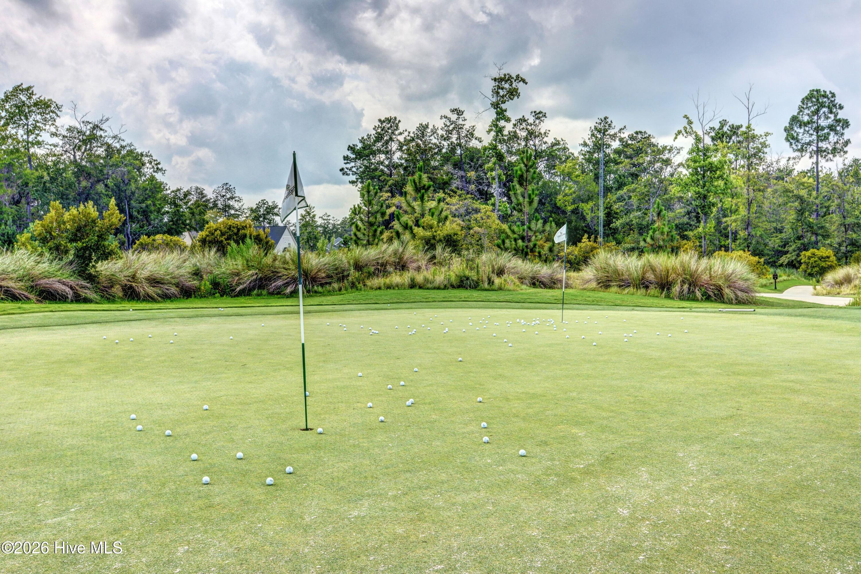 100548554 | Photo 37