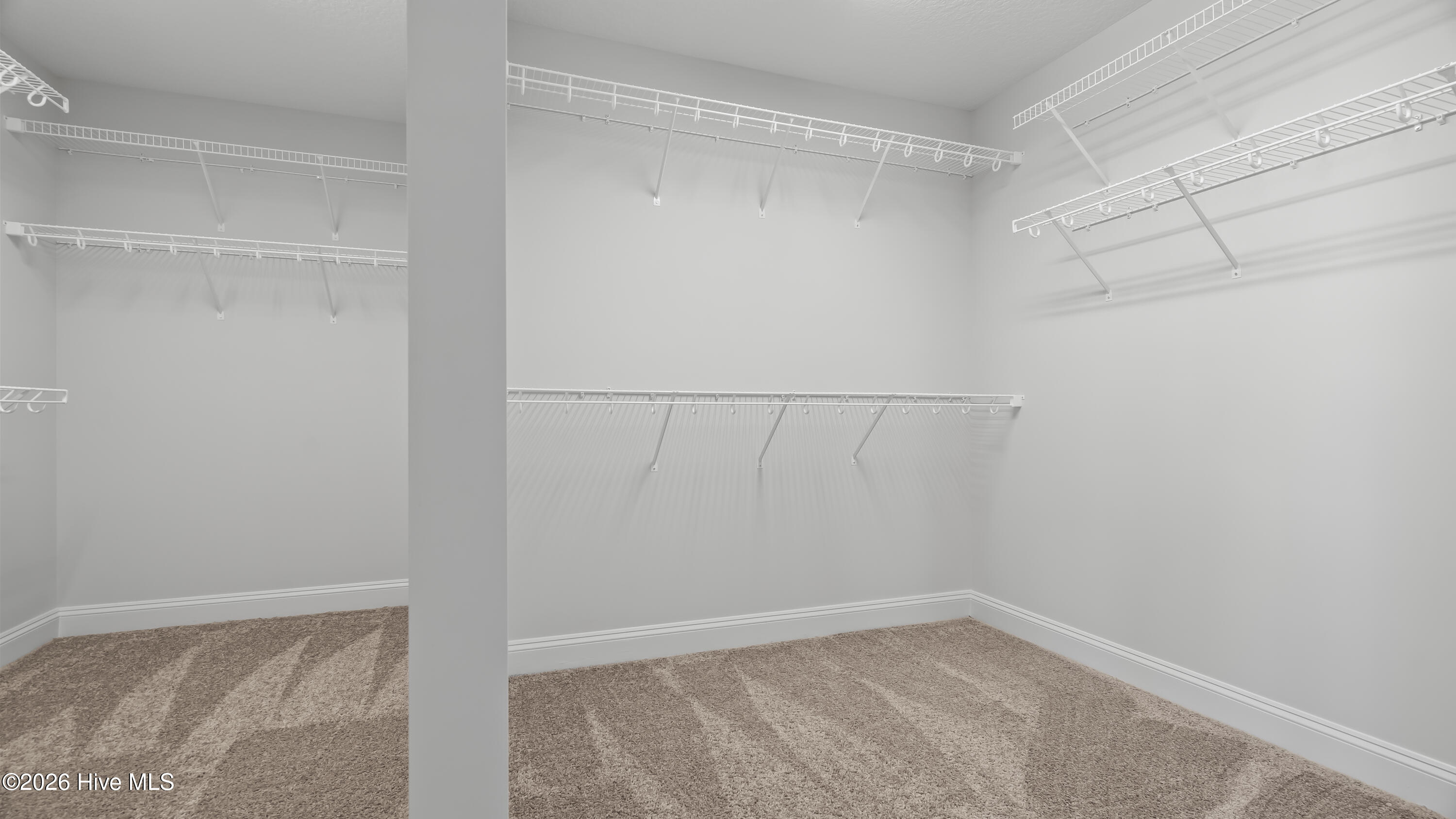 100563871 | Photo 22