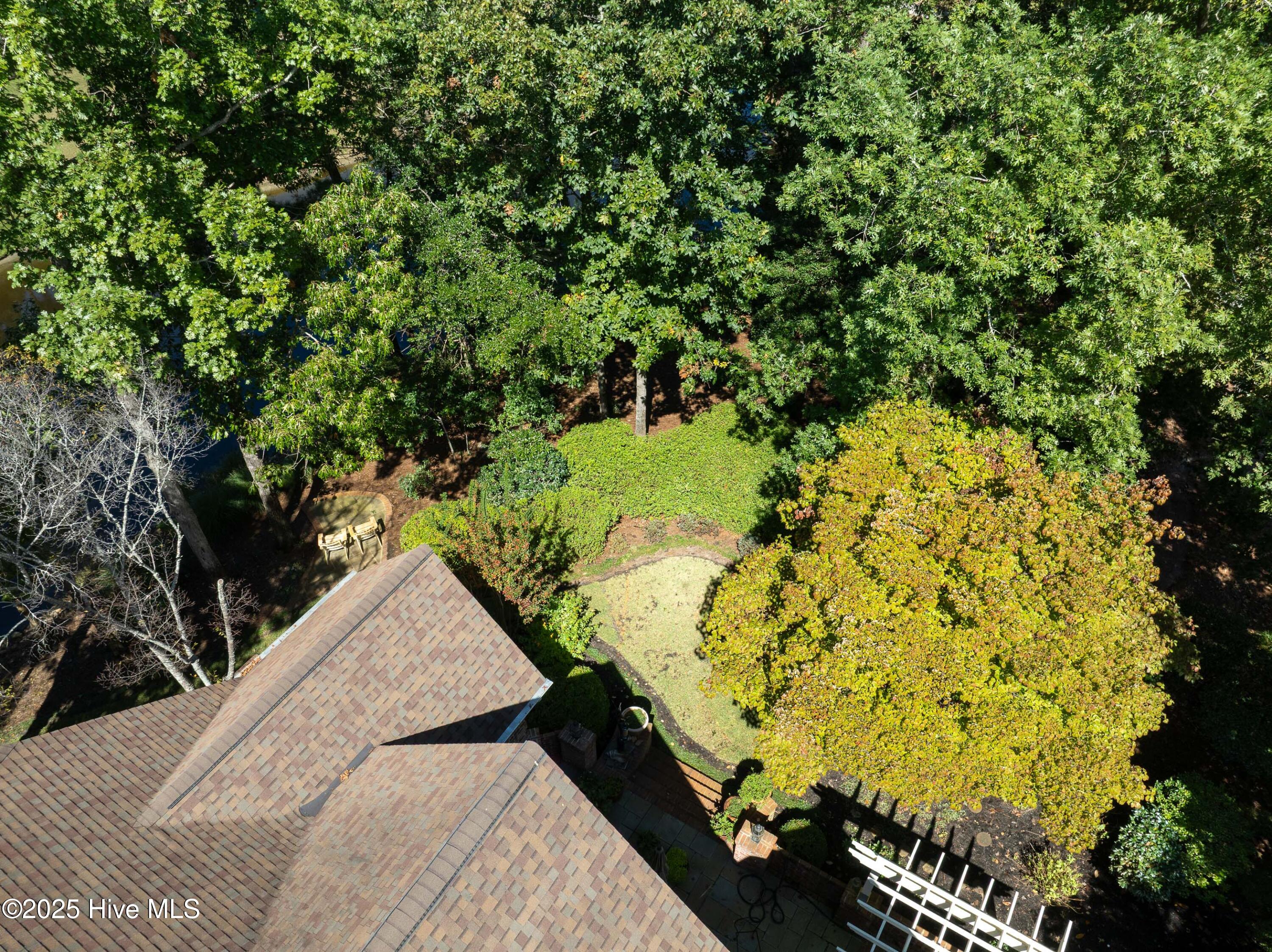 100547157 | Photo 54