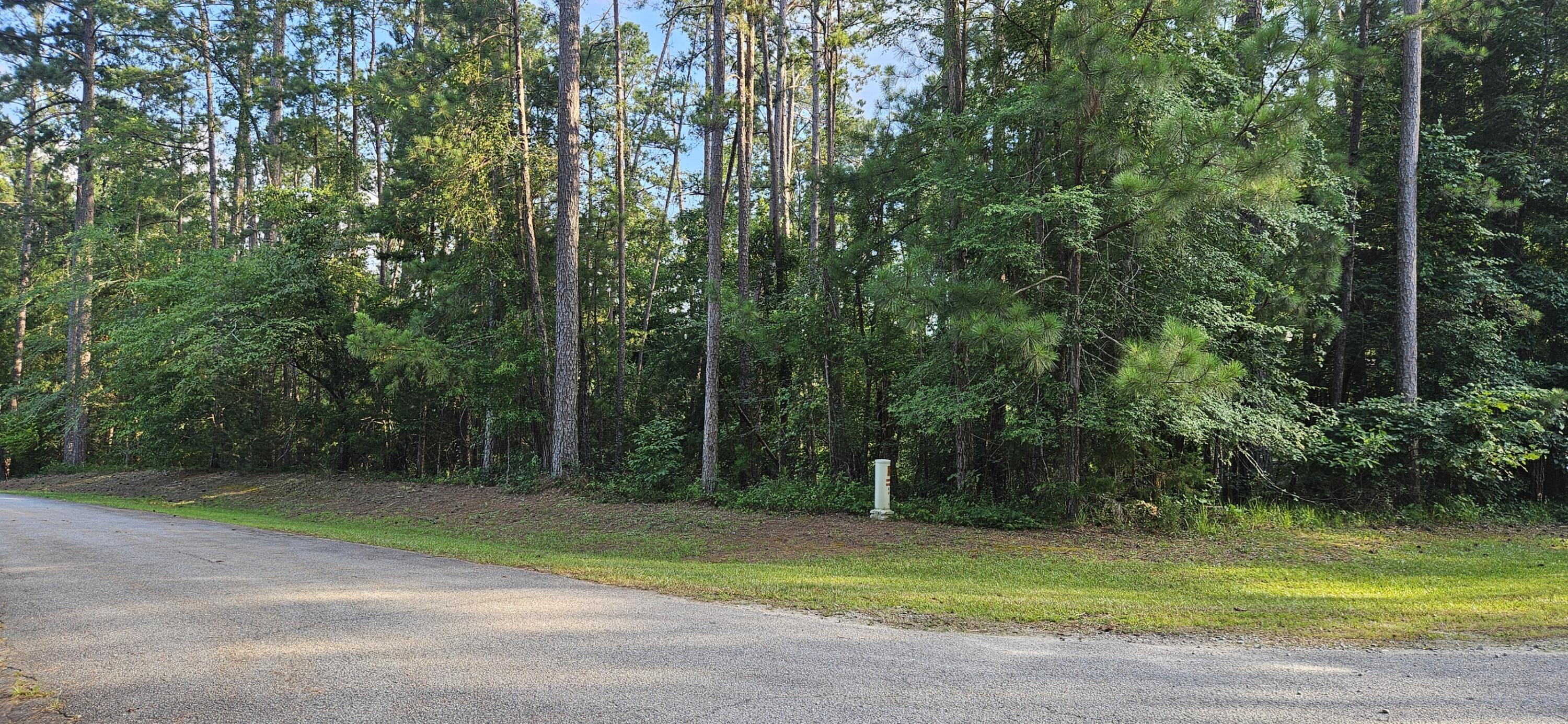 Bl 6 Lot 9 Davis Drive, Mccormick, SC, 29835