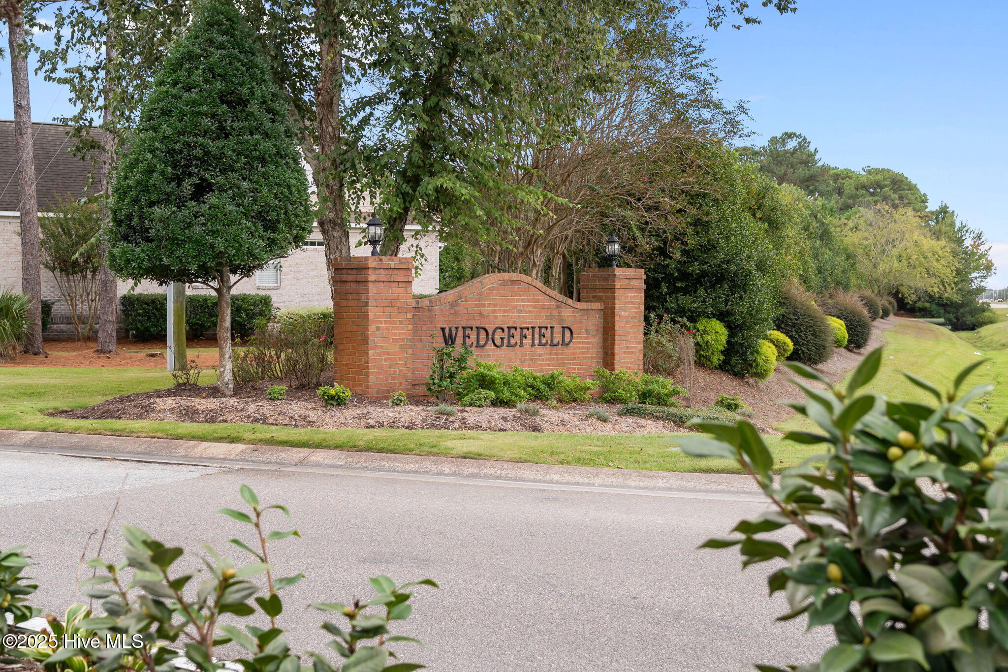 100538095 | Photo 58